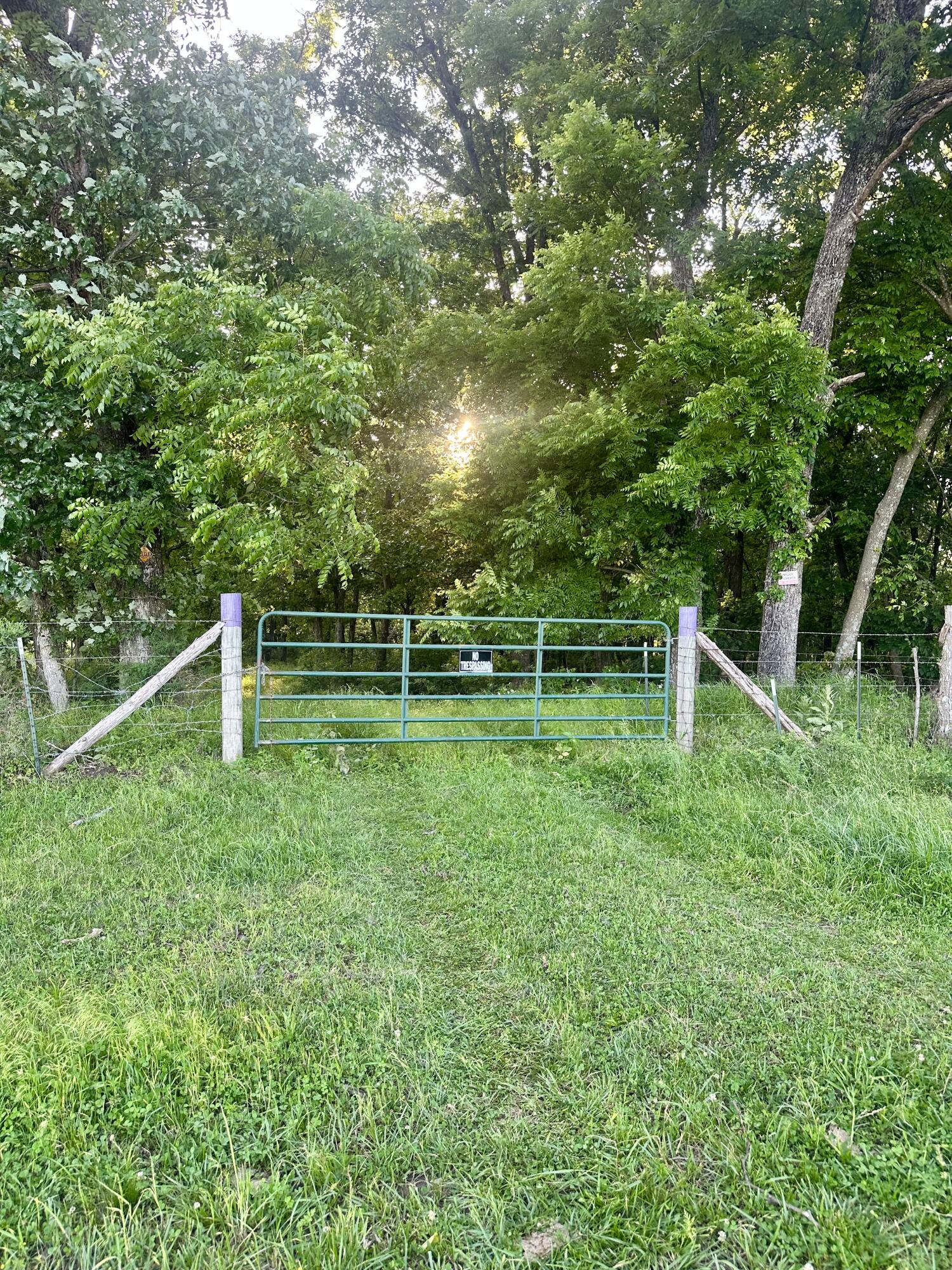 Photo 3 - Land for sale – 14188  County Road 195   Wheatland, MO