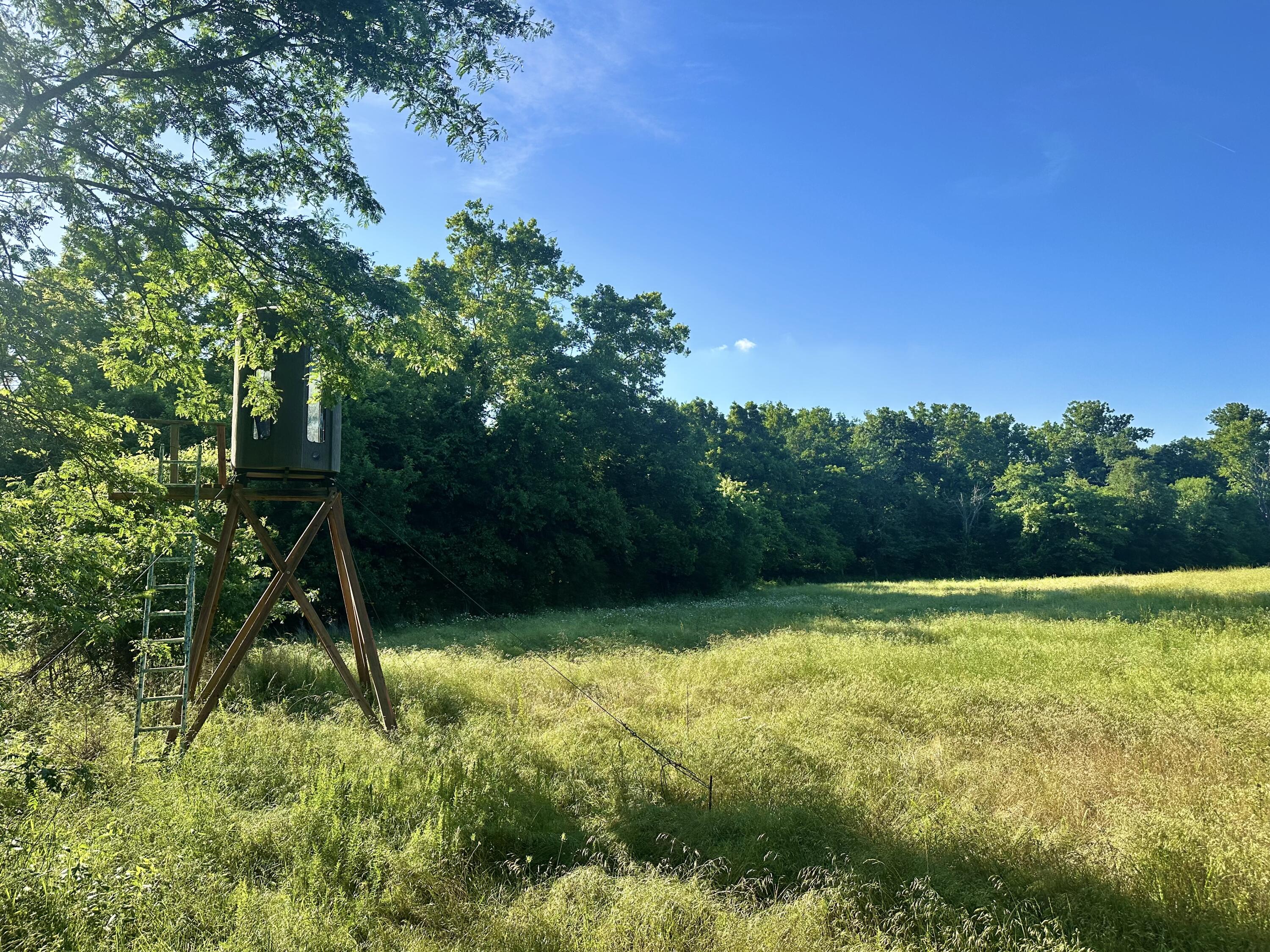 Land for sale – 14188  County Road 195   Wheatland, MO