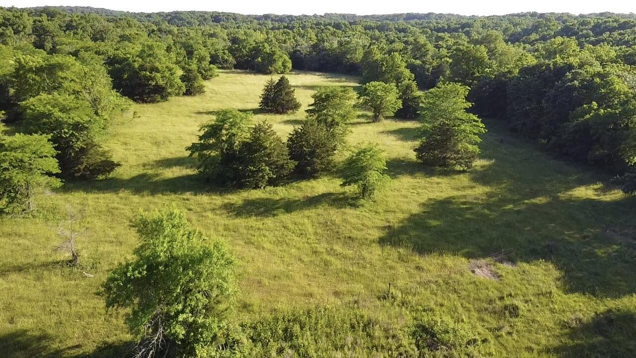 Photo 18 - Land for sale – 14188  County Road 195   Wheatland, MO