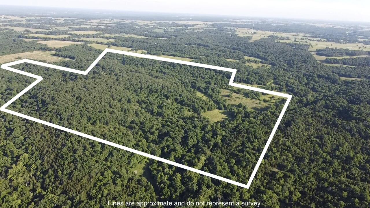 Photo 2 - Land for sale – 14188  County Road 195   Wheatland, MO