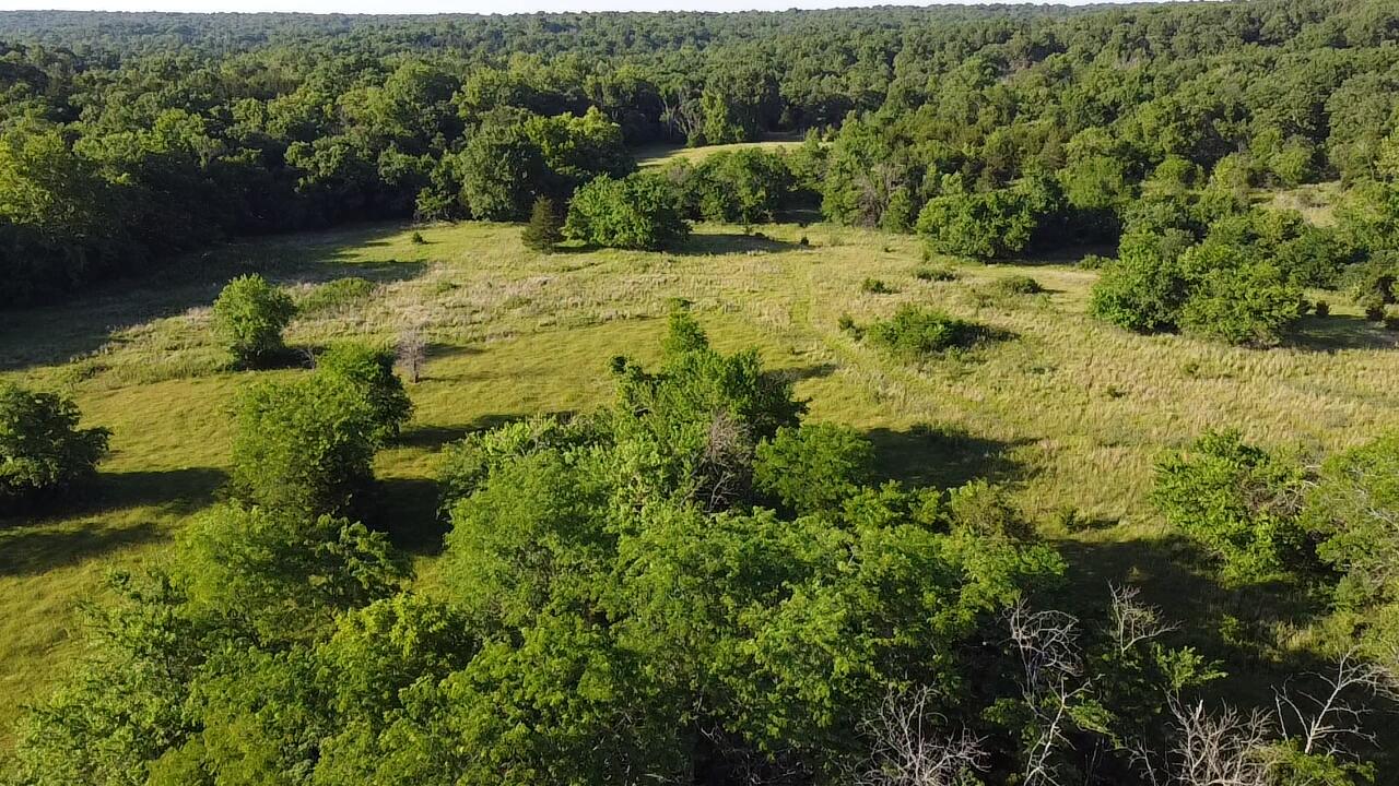 Photo 19 - Land for sale – 14188  County Road 195   Wheatland, MO