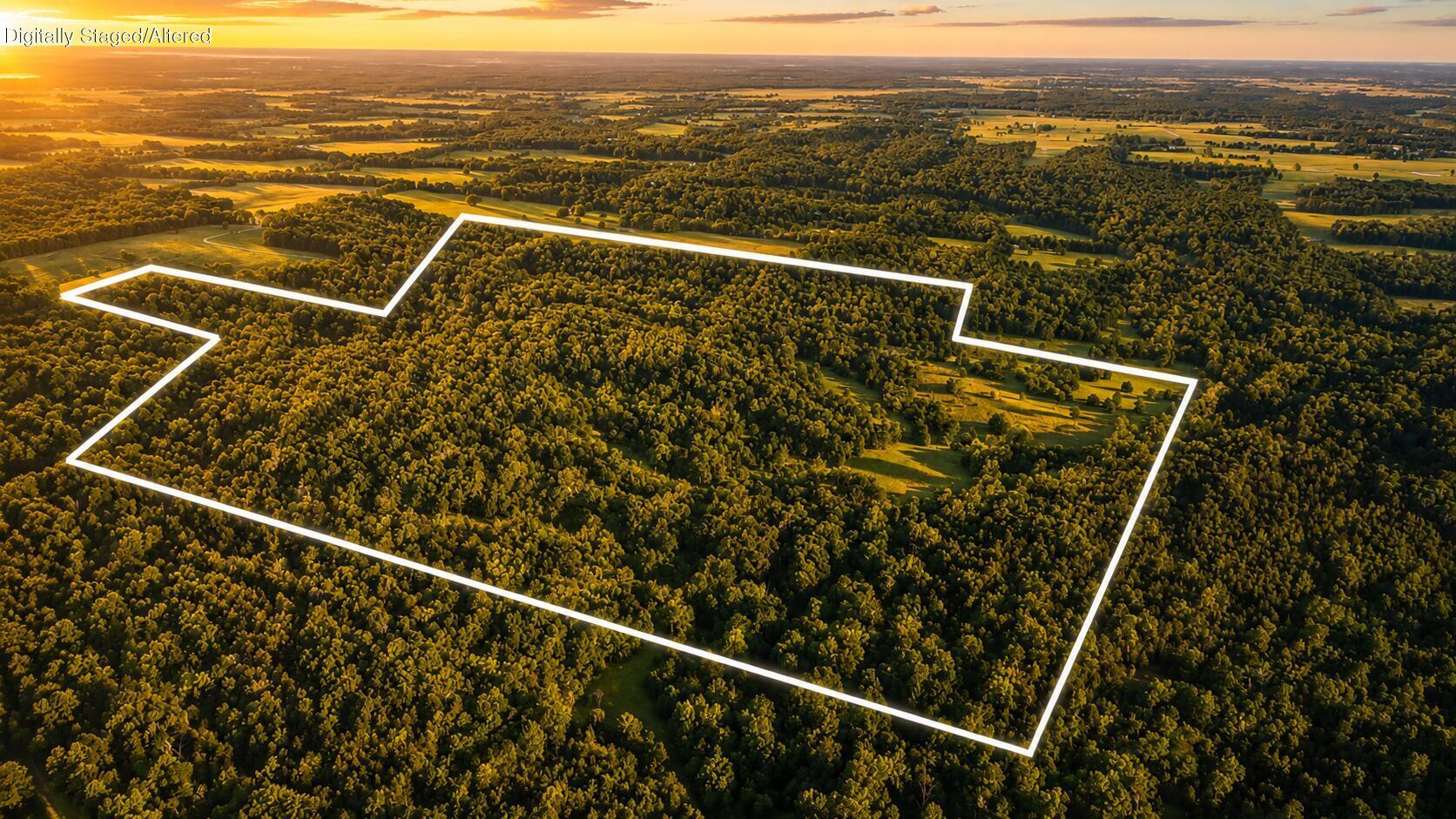 Photo 22 - Land for sale – 14188  County Road 195   Wheatland, MO