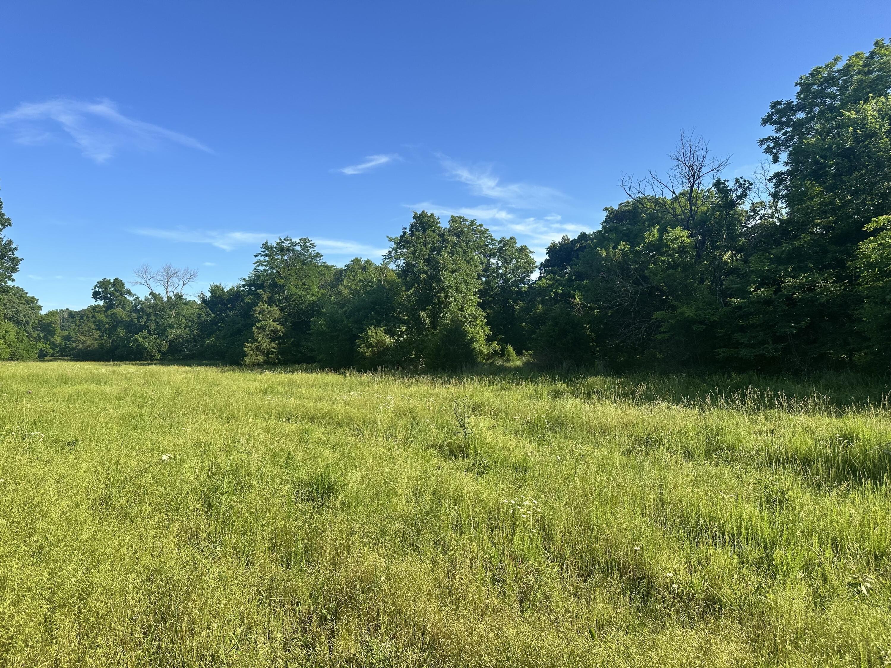 Photo 15 - Land for sale – 14188  County Road 195   Wheatland, MO