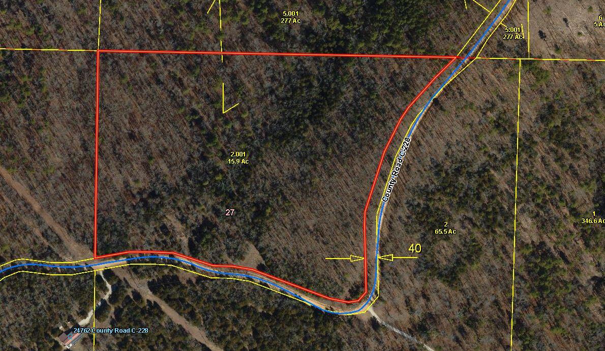 Photo 2 - Land for sale – 000  County Road C-228   Norwood, MO