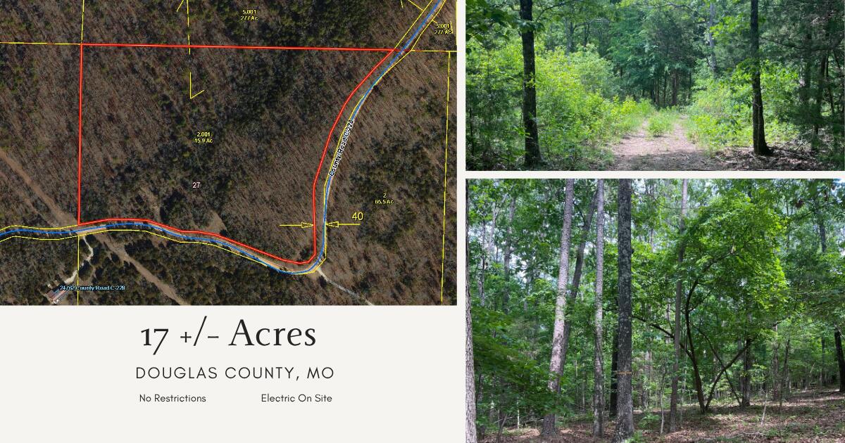 Land for sale – 000  County Road C-228   Norwood, MO