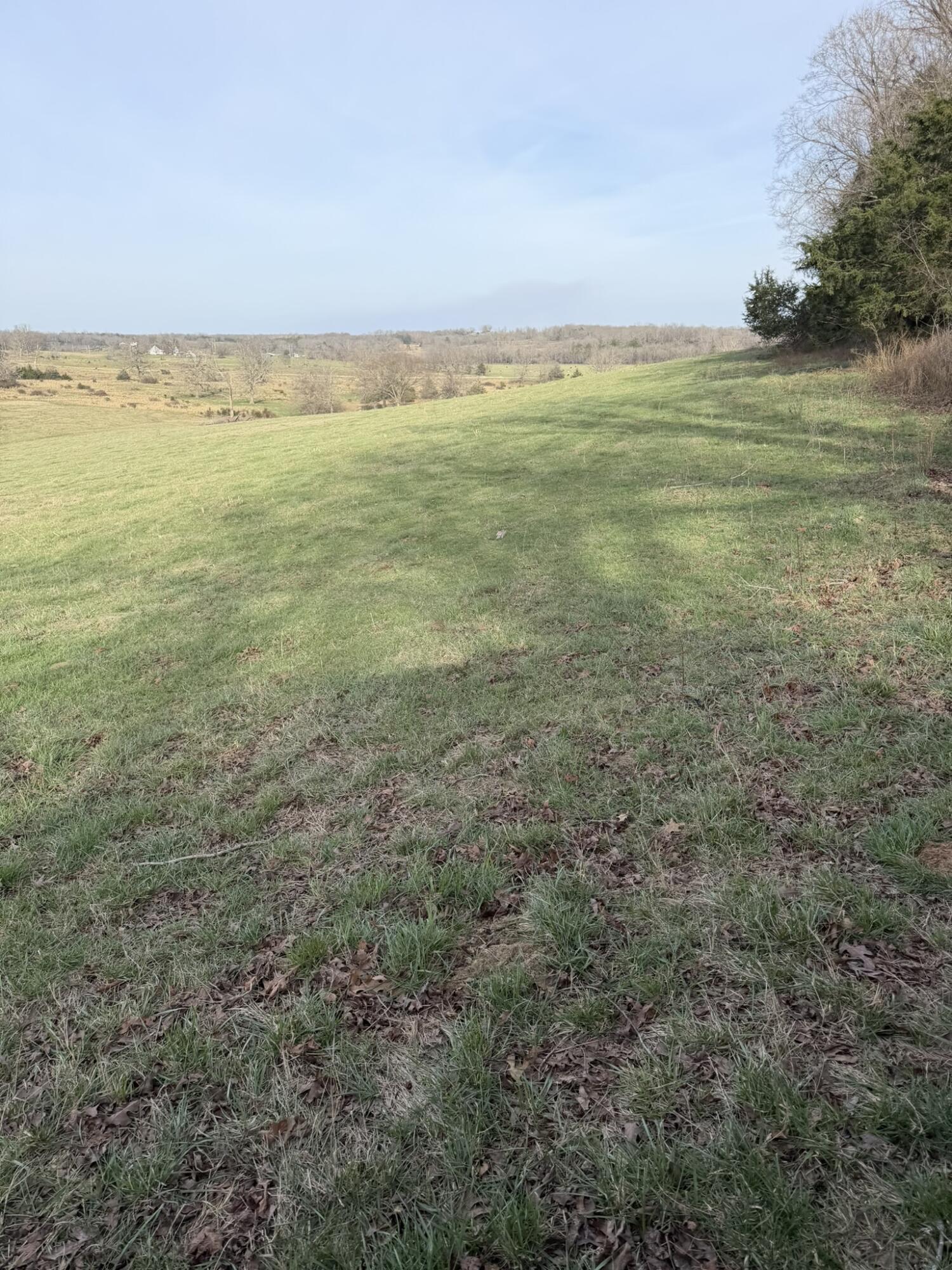 Photo 3 - Farm for sale – 14658  County Road 7430   Caulfield, MO