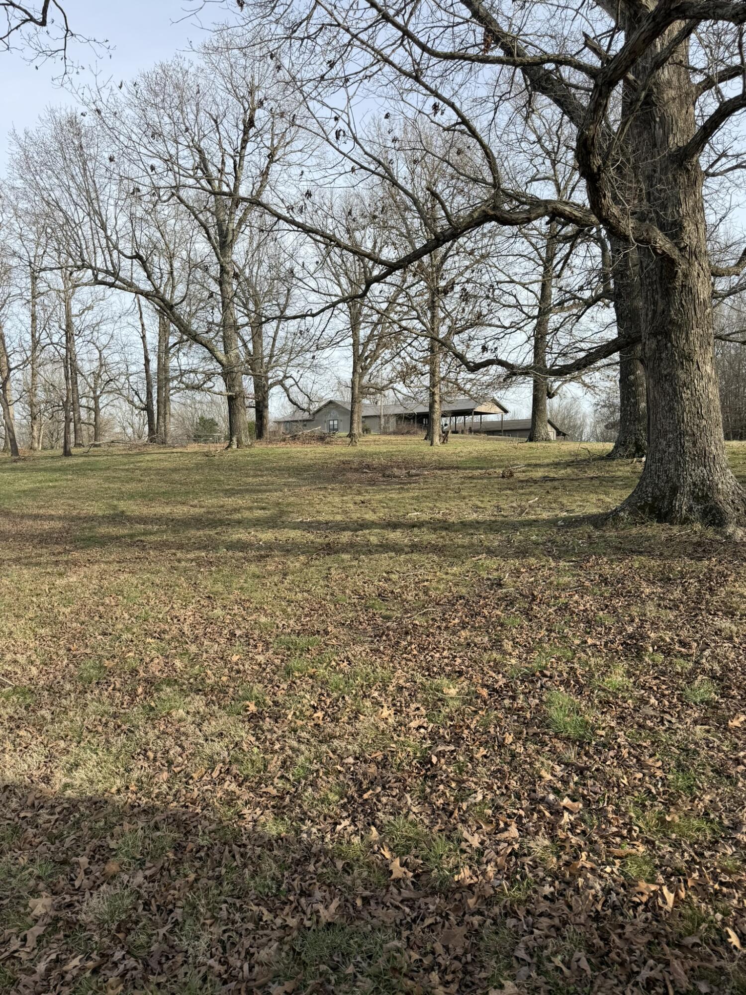 Photo 2 - Farm for sale – 14658  County Road 7430   Caulfield, MO