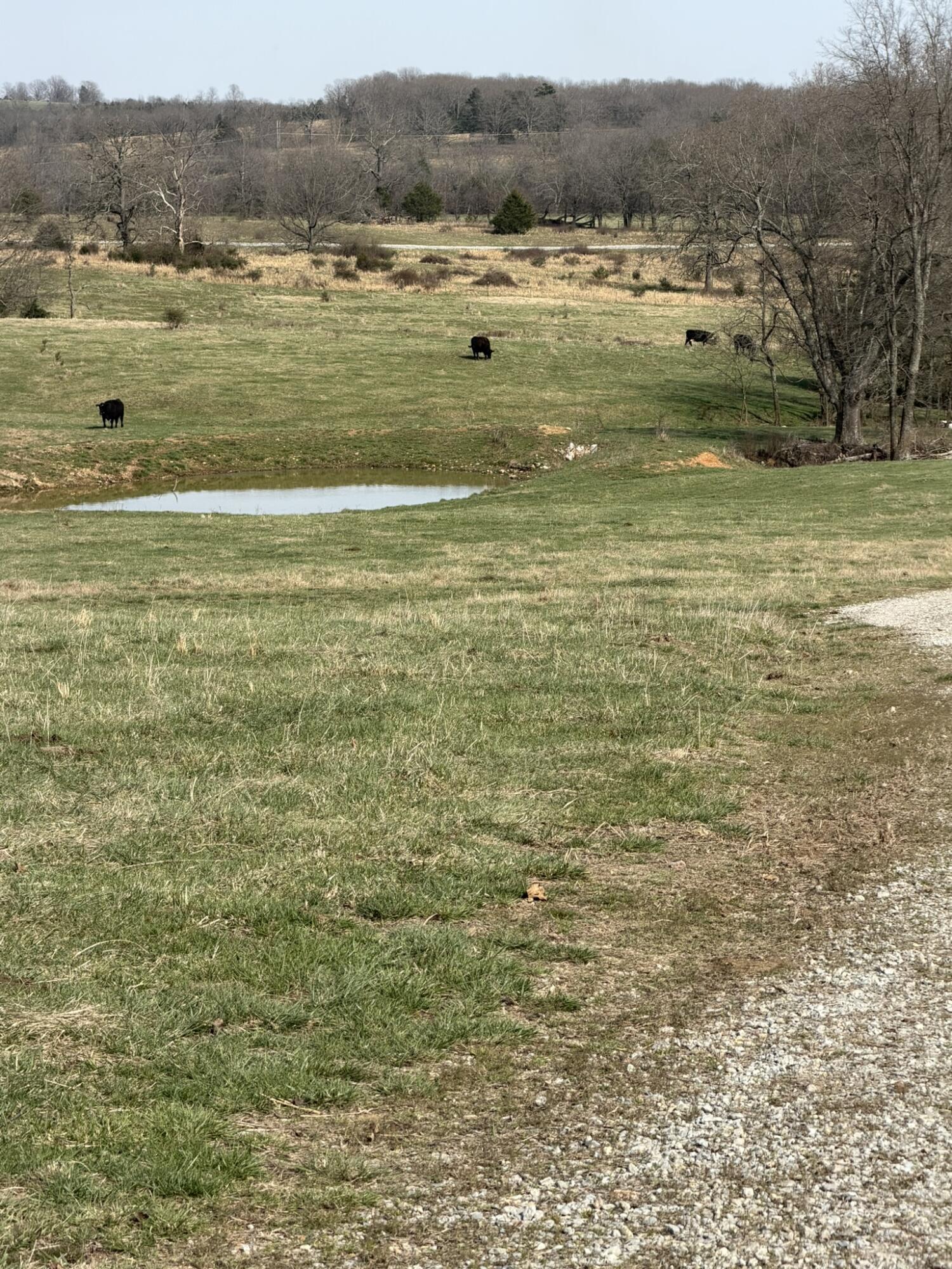 Photo 5 - Farm for sale – 14658  County Road 7430   Caulfield, MO