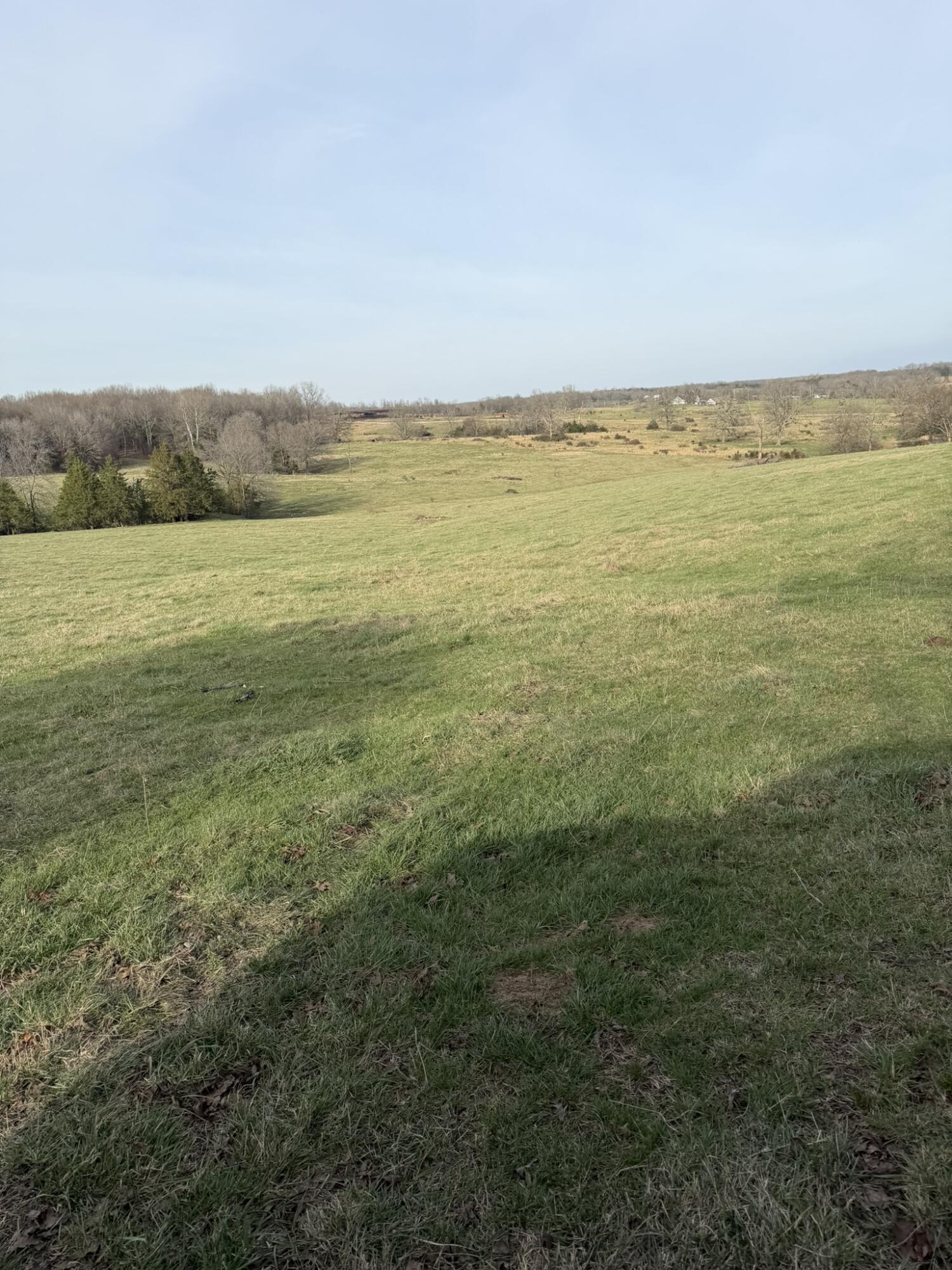 Photo 4 - Farm for sale – 14658  County Road 7430   Caulfield, MO