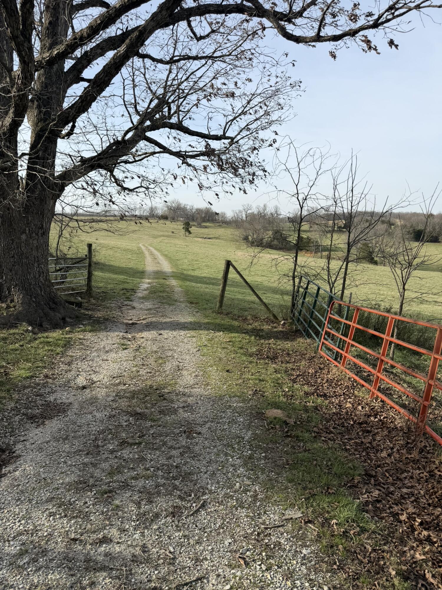 Farm for sale – 14658  County Road 7430   Caulfield, MO