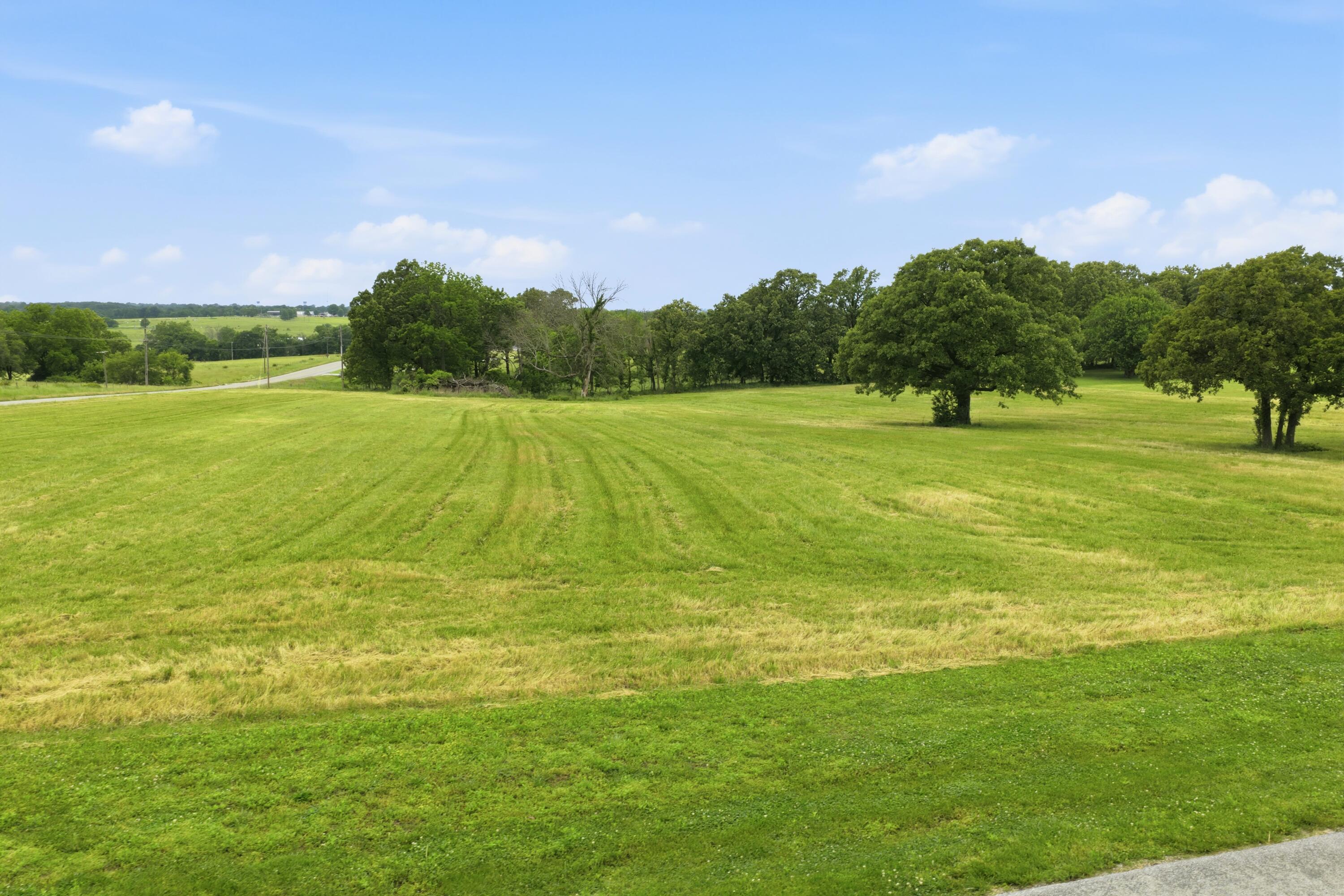 Photo 4 - Land for sale – 00  S 146th Road  Bolivar, MO