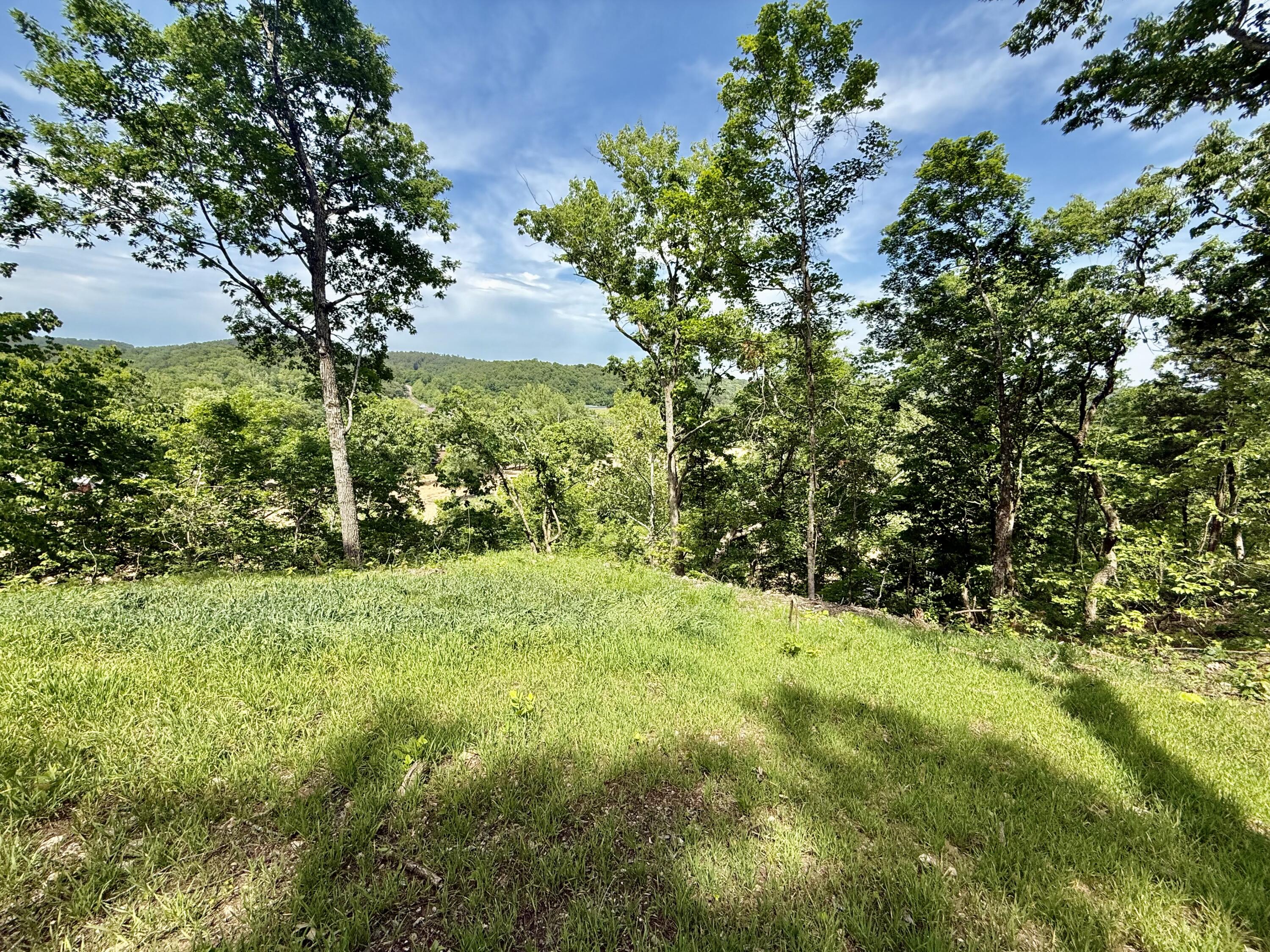 Photo 5 - Land for sale – Tract 10  Circle B Road  Eminence, MO