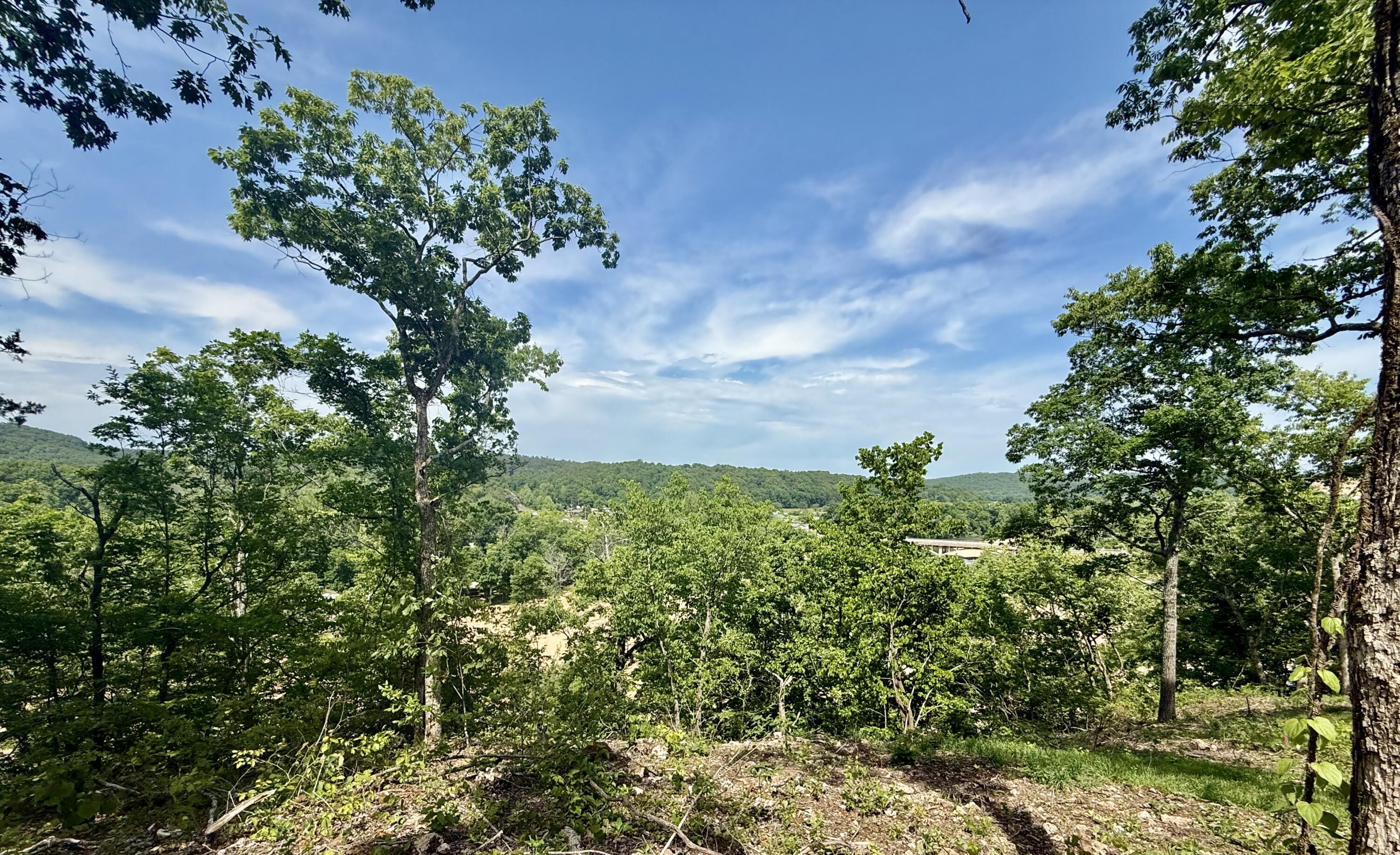 Photo 6 - Land for sale – Tract 10  Circle B Road  Eminence, MO