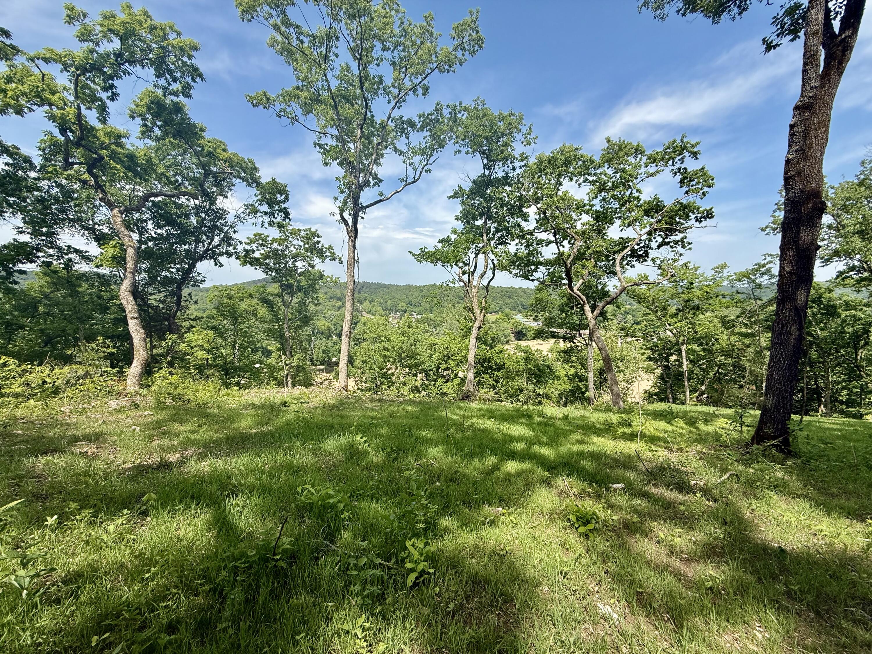 Photo 7 - Land for sale – Tract 10  Circle B Road  Eminence, MO