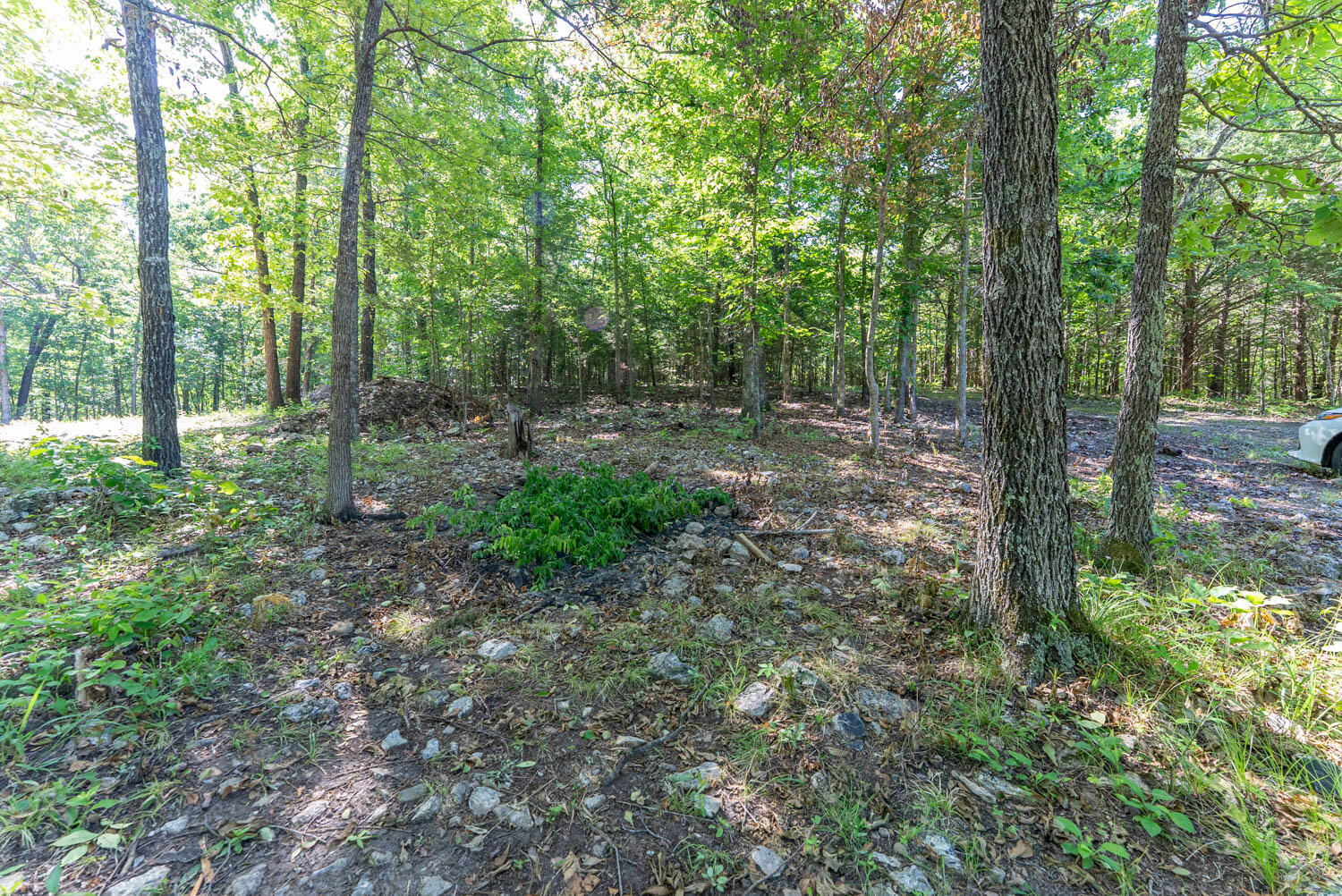 Photo 14 - Land for sale – 910  Marion County 7097   Flippin, AR
