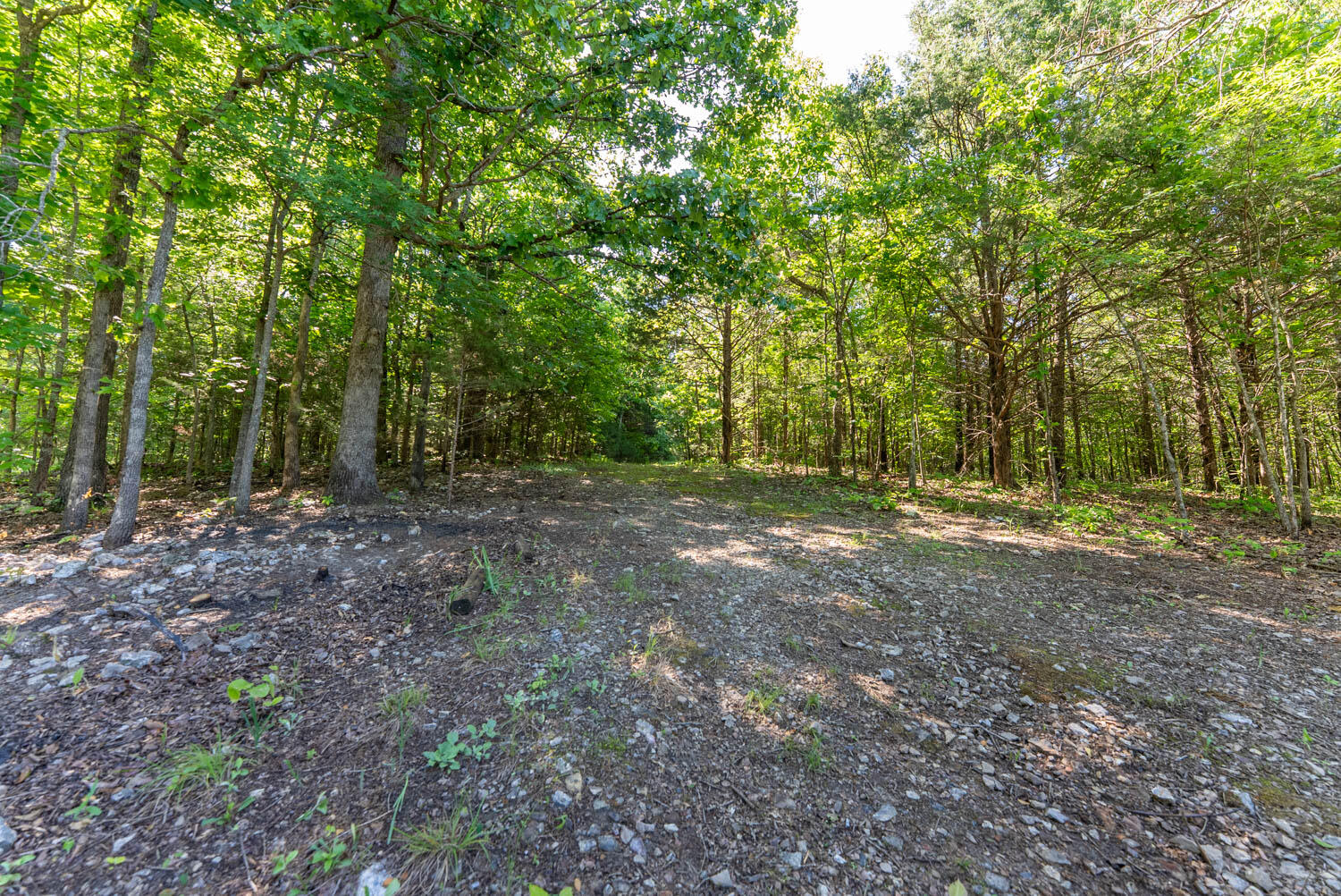Photo 15 - Land for sale – 910  Marion County 7097   Flippin, AR