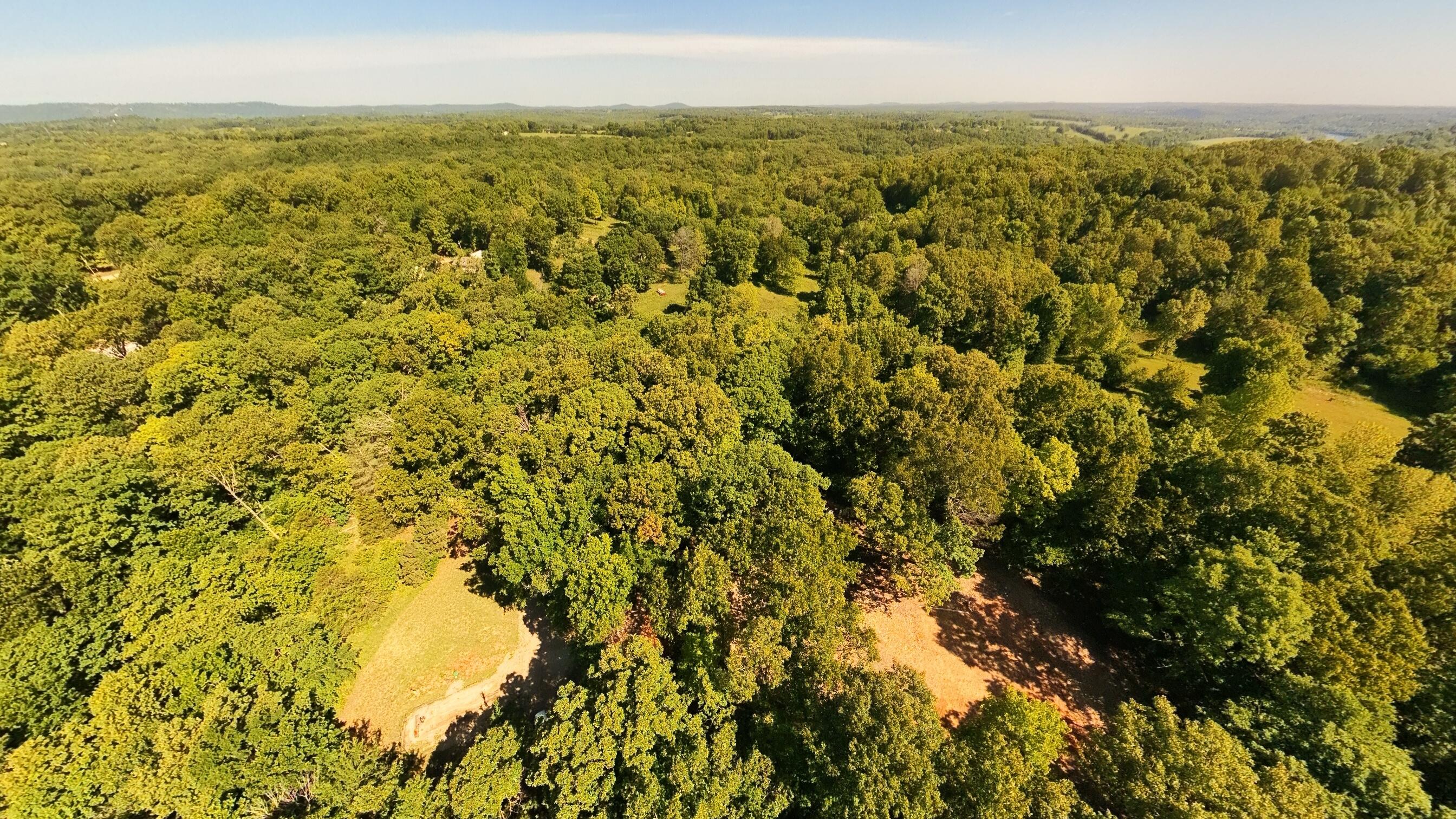 Photo 23 - Land for sale – 910  Marion County 7097   Flippin, AR