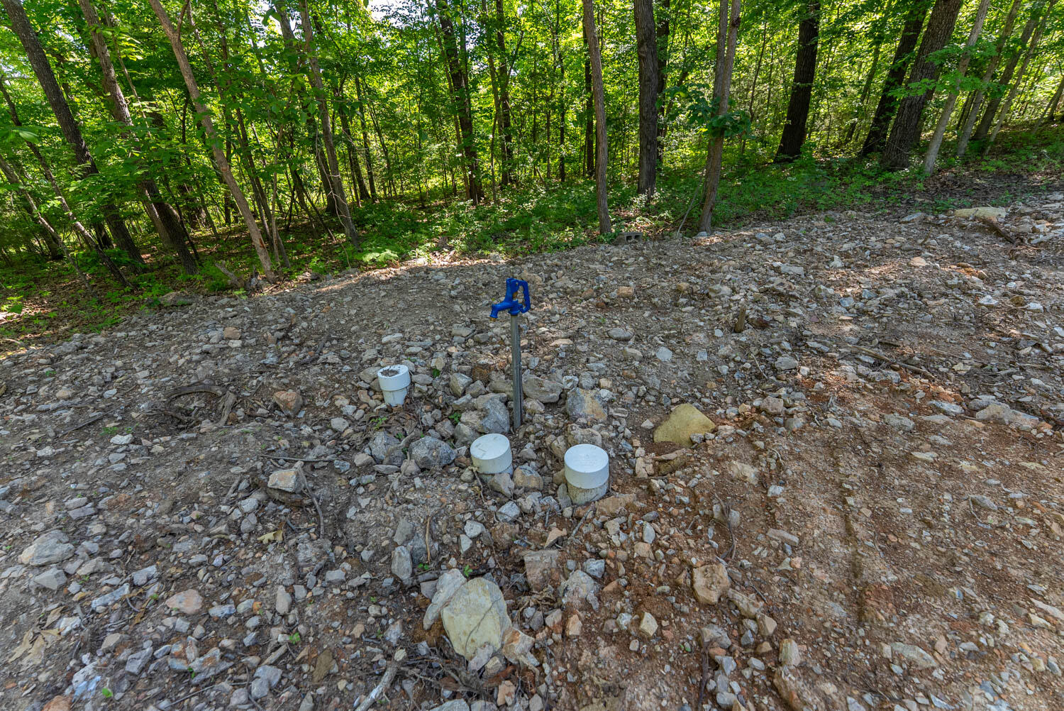 Photo 11 - Land for sale – 910  Marion County 7097   Flippin, AR