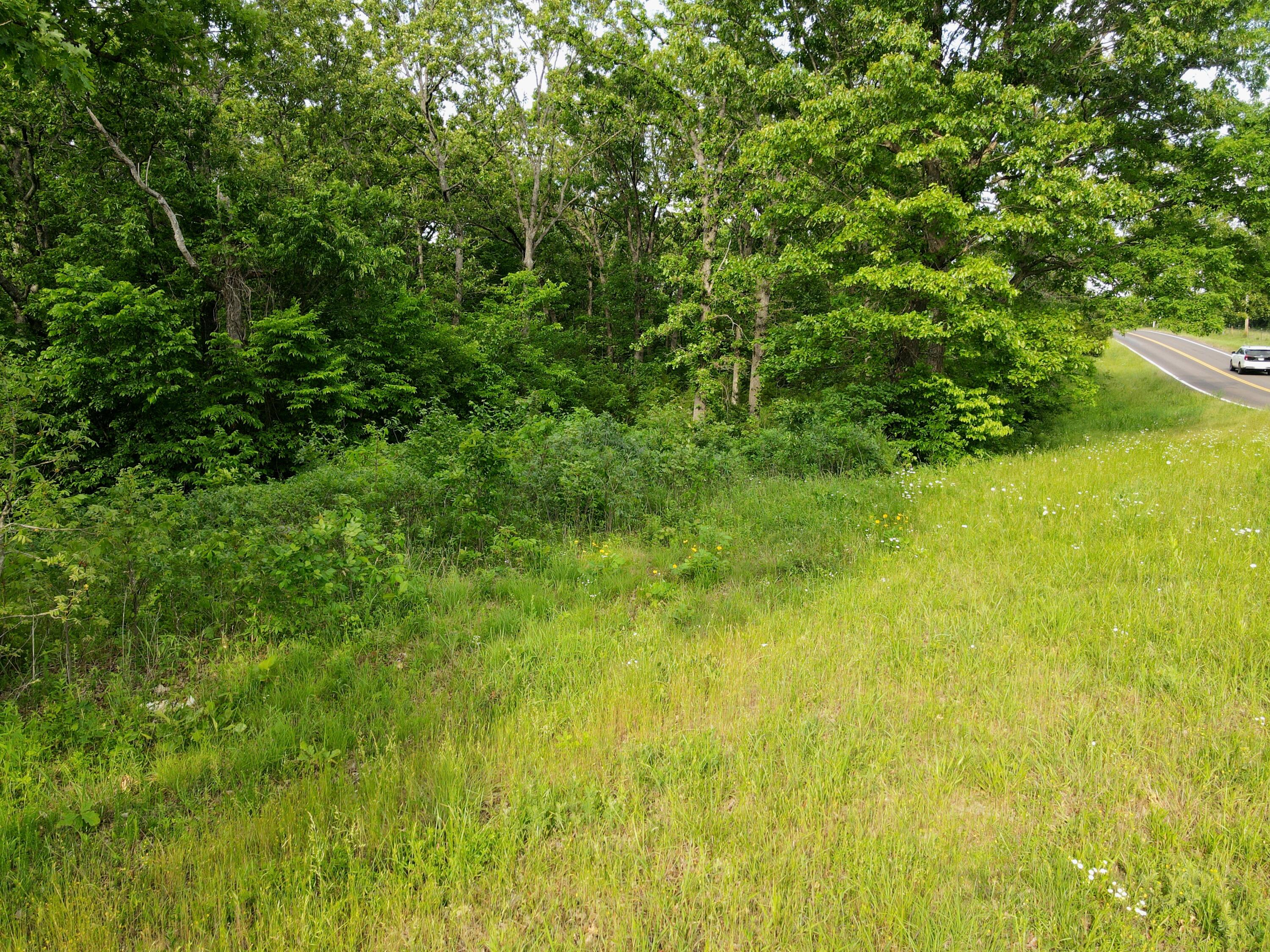 Photo 6 - Land for sale – 000  State Road Ff   Long Lane, MO