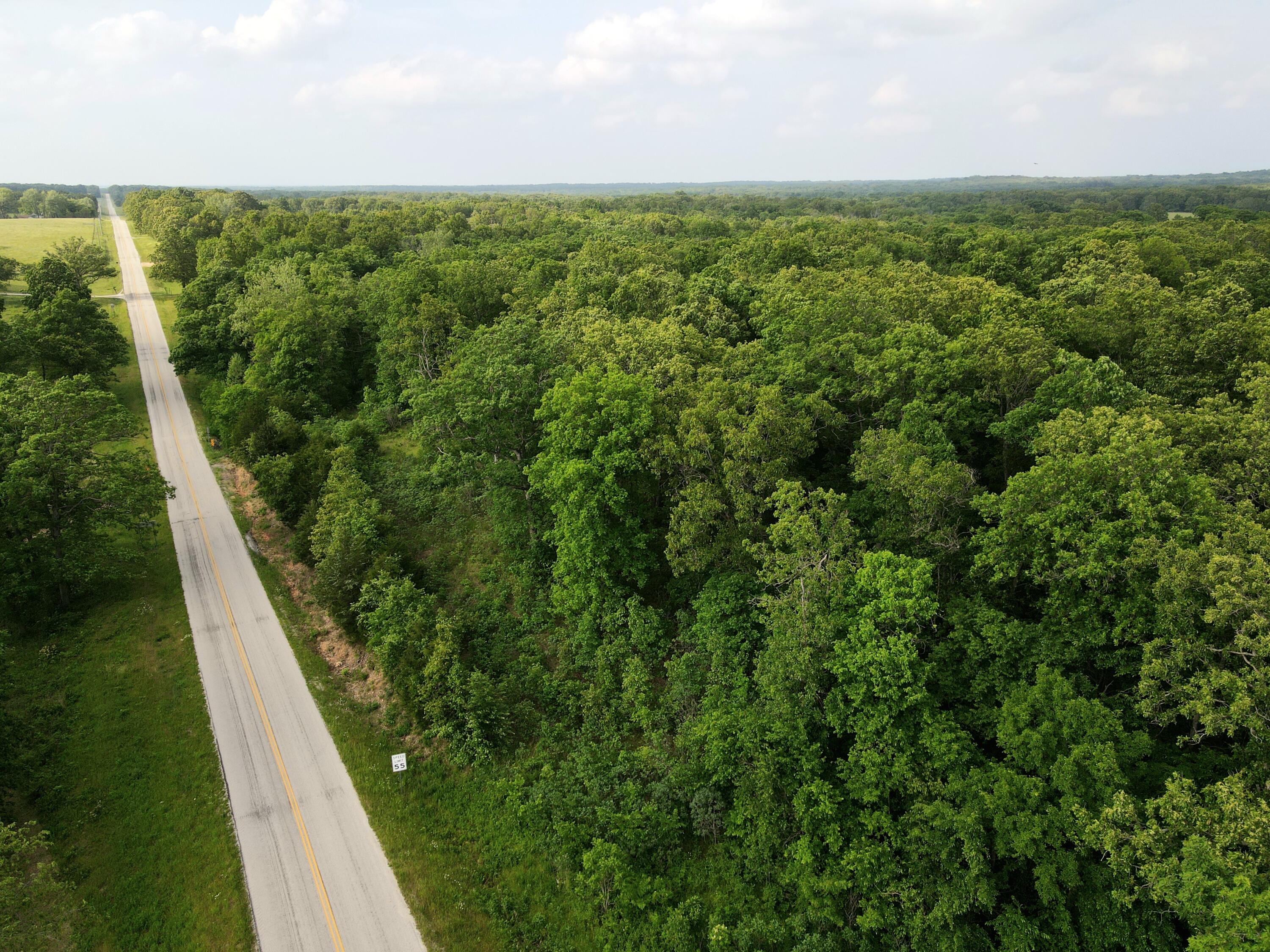Photo 12 - Land for sale – 000  State Road Ff   Long Lane, MO