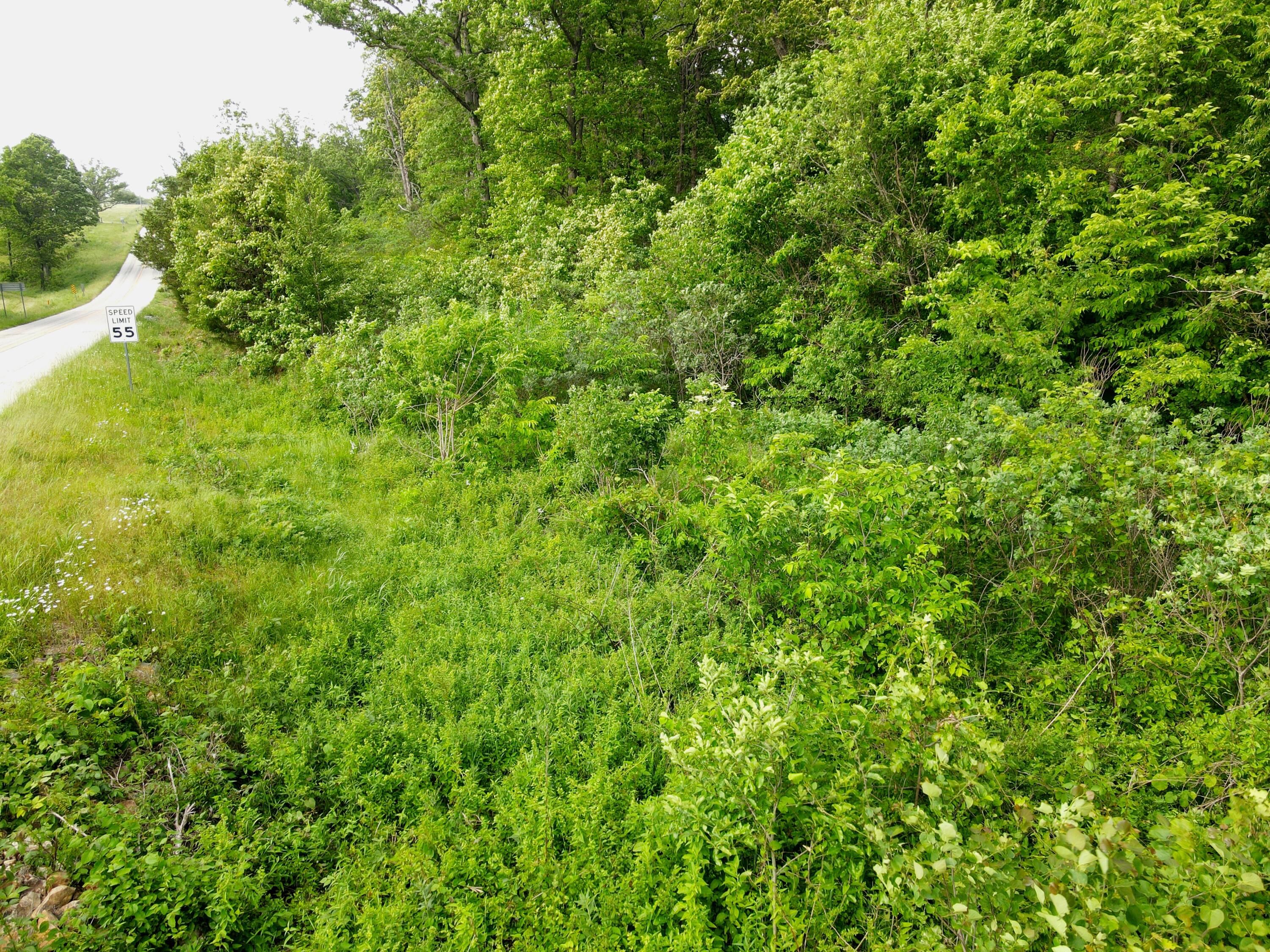 Photo 4 - Land for sale – 000  State Road Ff   Long Lane, MO