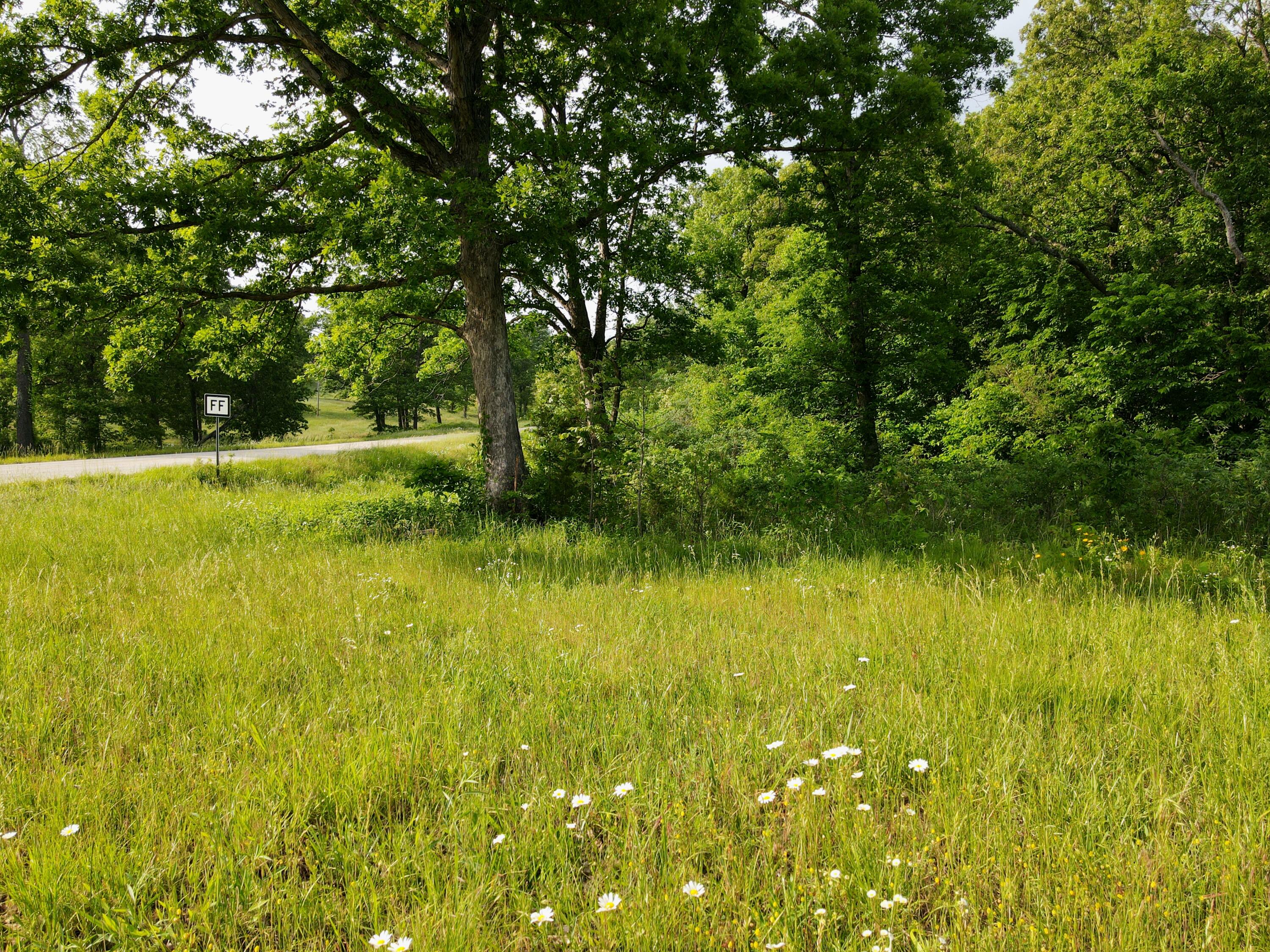 Photo 7 - Land for sale – 000  State Road Ff   Long Lane, MO