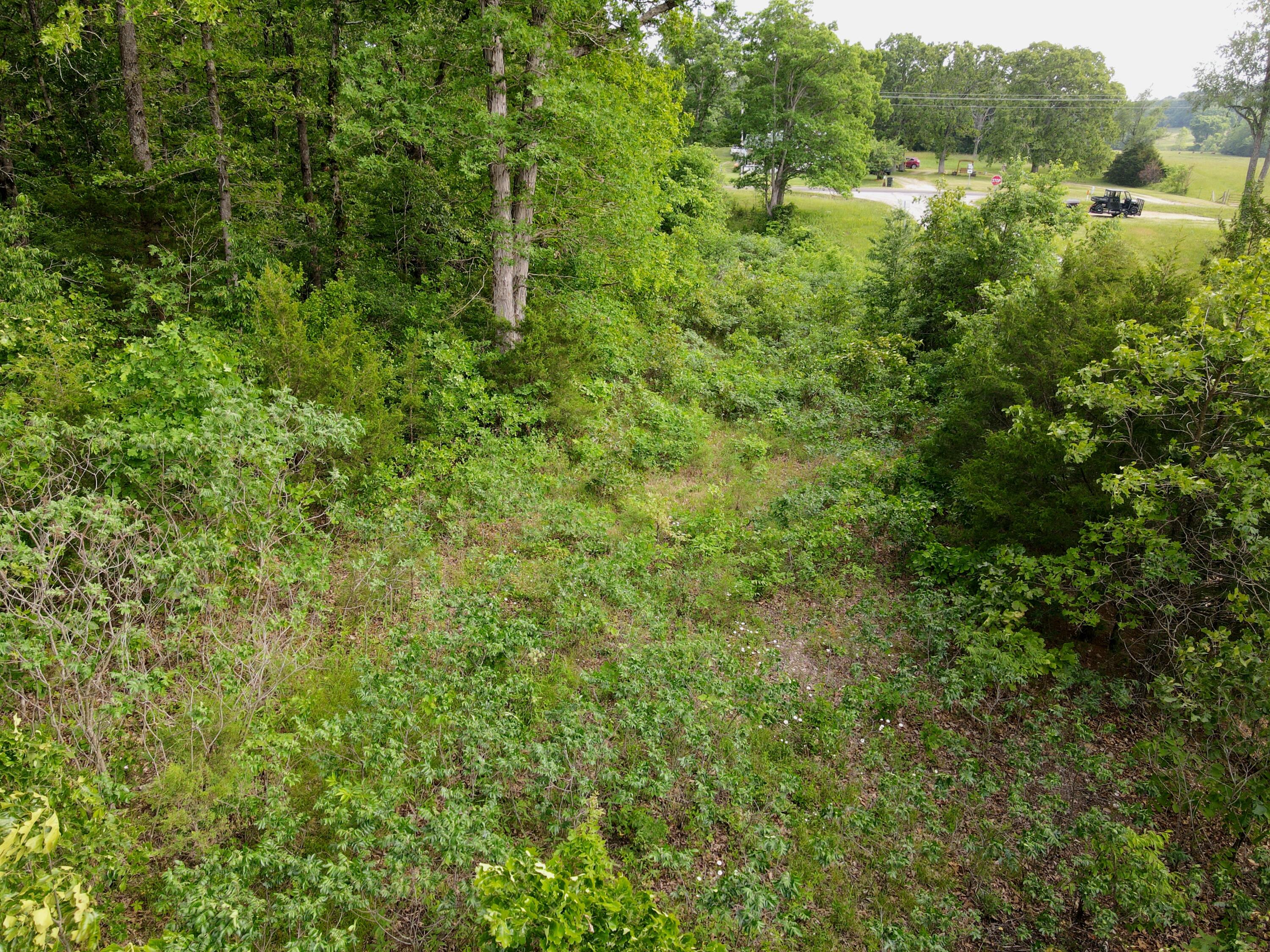 Photo 8 - Land for sale – 000  State Road Ff   Long Lane, MO
