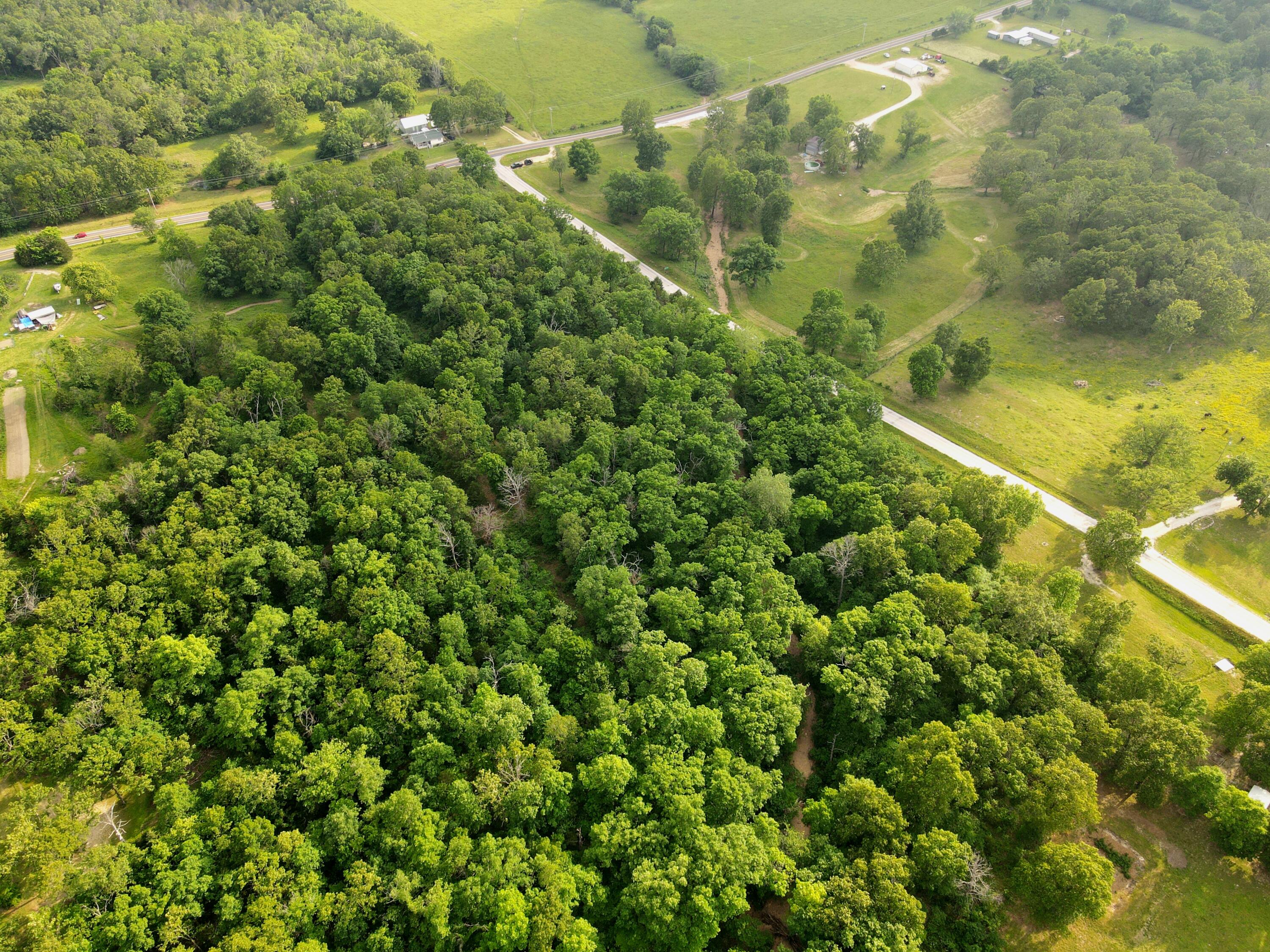 Photo 15 - Land for sale – 000  State Road Ff   Long Lane, MO
