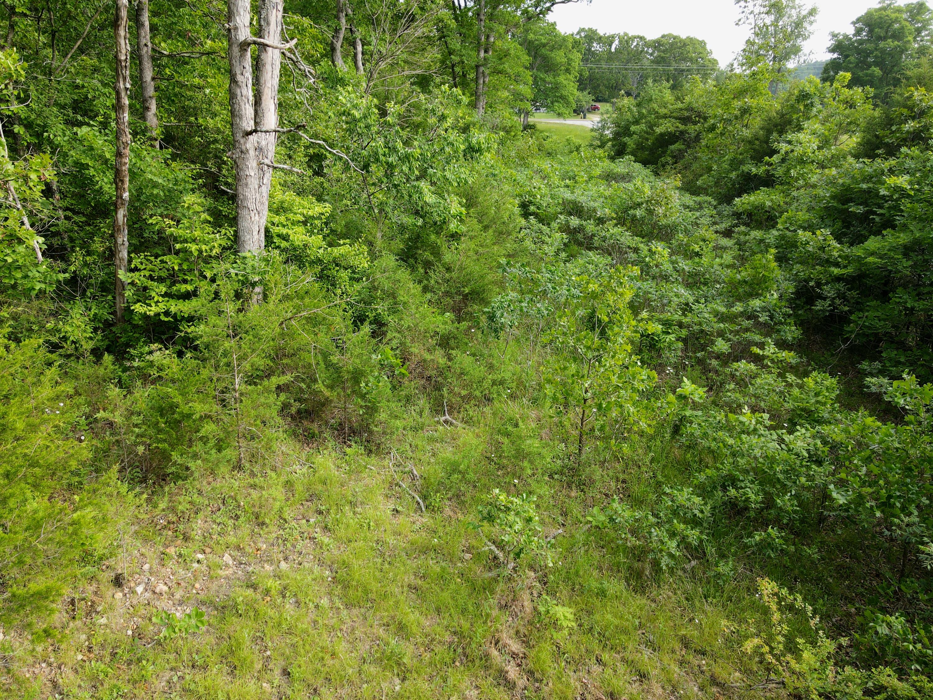 Photo 9 - Land for sale – 000  State Road Ff   Long Lane, MO