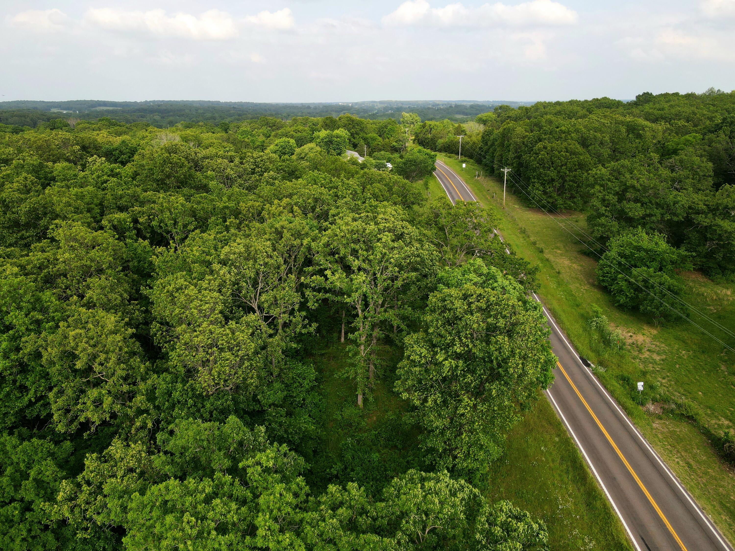 Photo 13 - Land for sale – 000  State Road Ff   Long Lane, MO