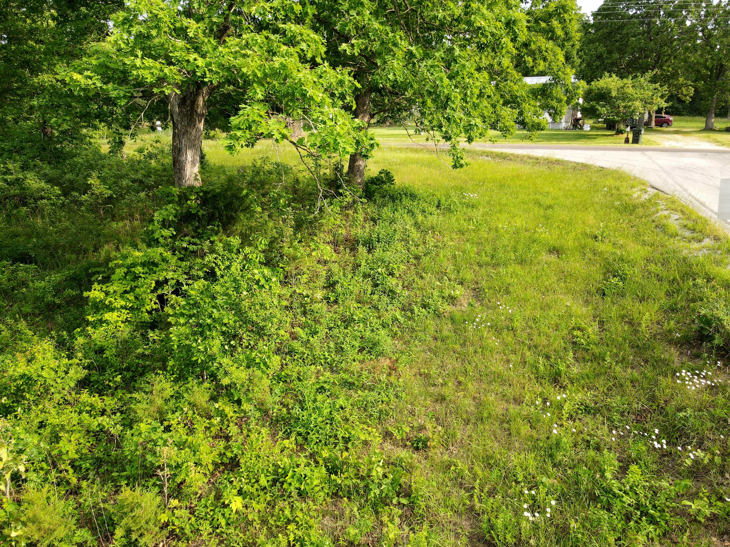 Photo 5 - Land for sale – 000  State Road Ff   Long Lane, MO
