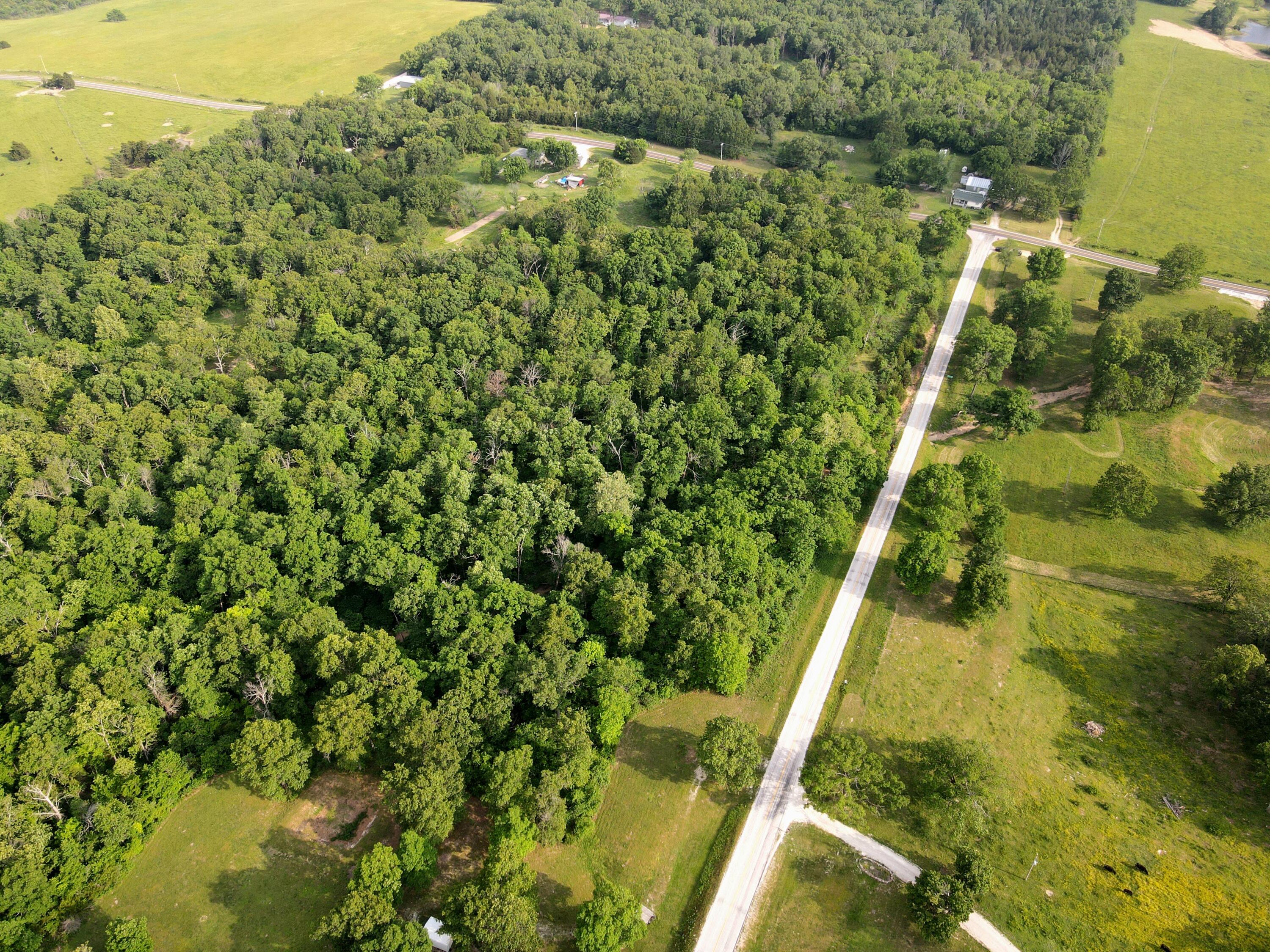 Photo 16 - Land for sale – 000  State Road Ff   Long Lane, MO