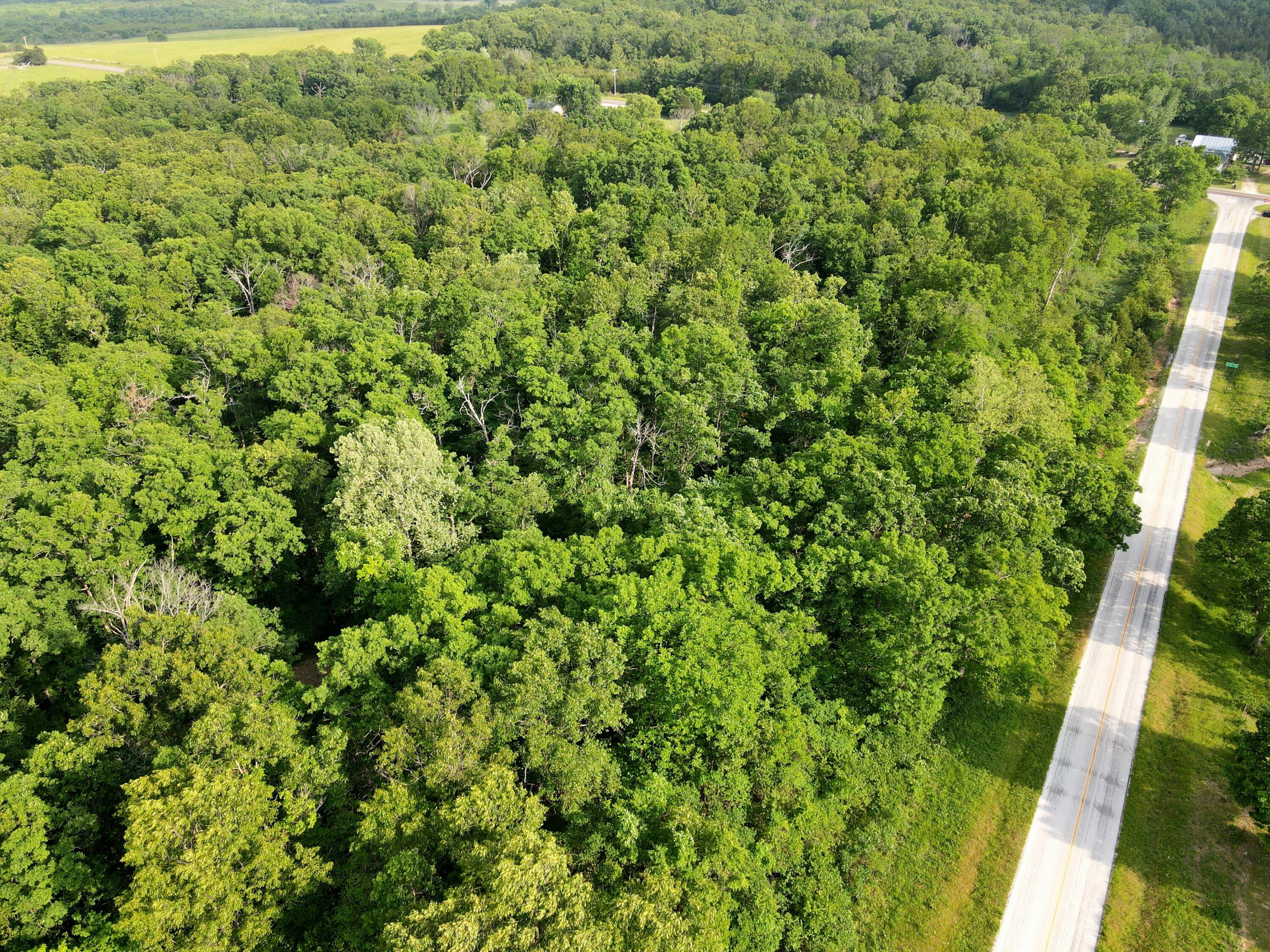Photo 17 - Land for sale – 000  State Road Ff   Long Lane, MO