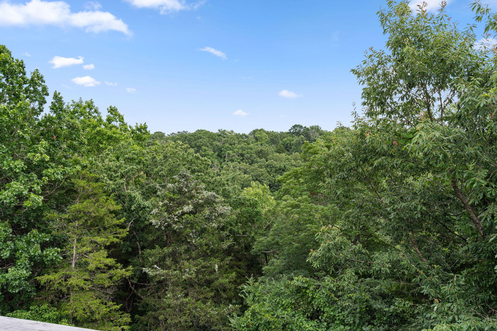 Photo 35 - Residential for sale – 259  Mesquite Drive  Branson, MO