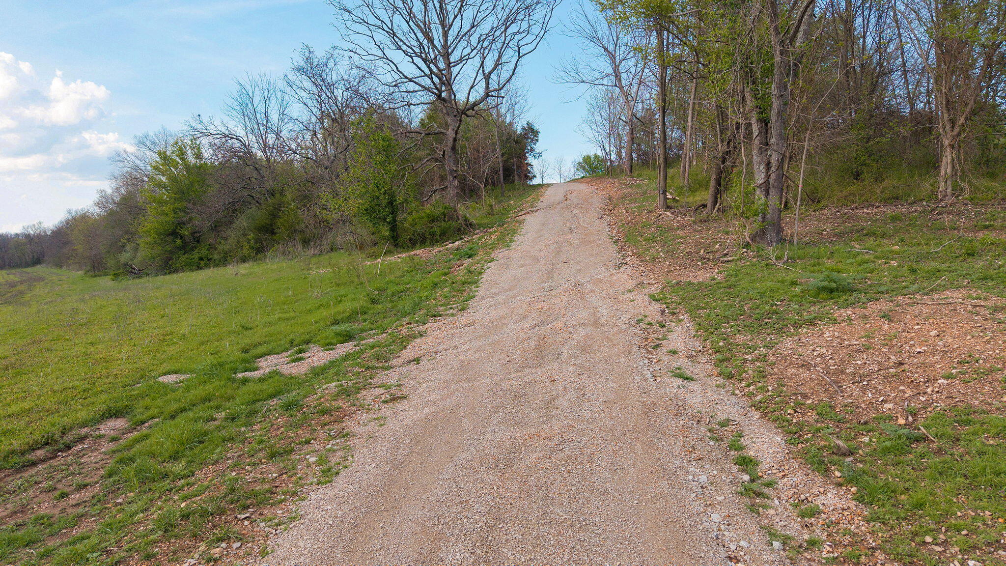 Photo 67 - Farm for sale – 503  Airport Road  Crane, MO