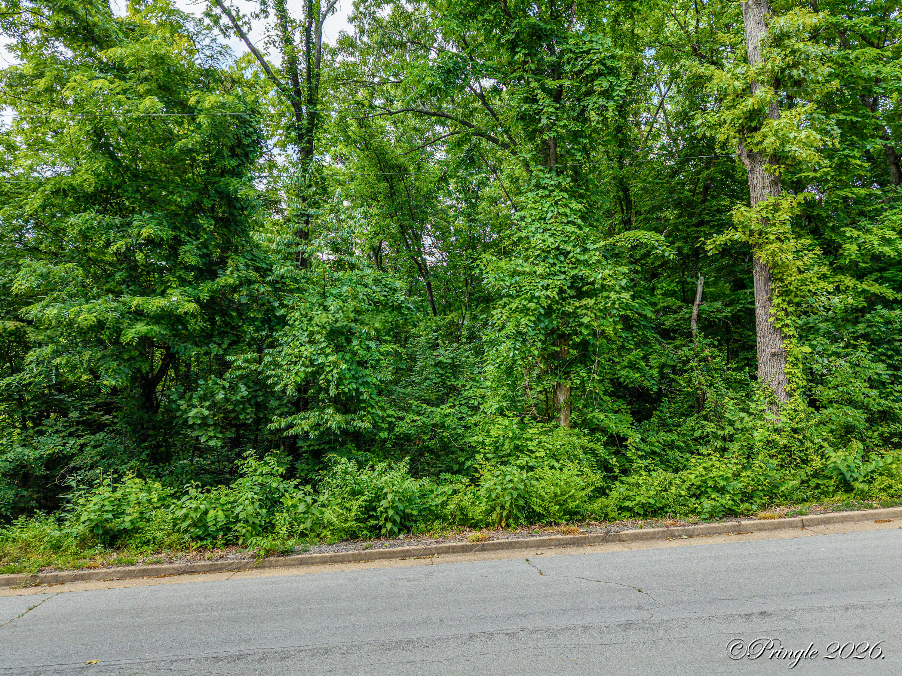 Photo 4 - Land for sale – 511  Woodland Avenue  West Plains, MO