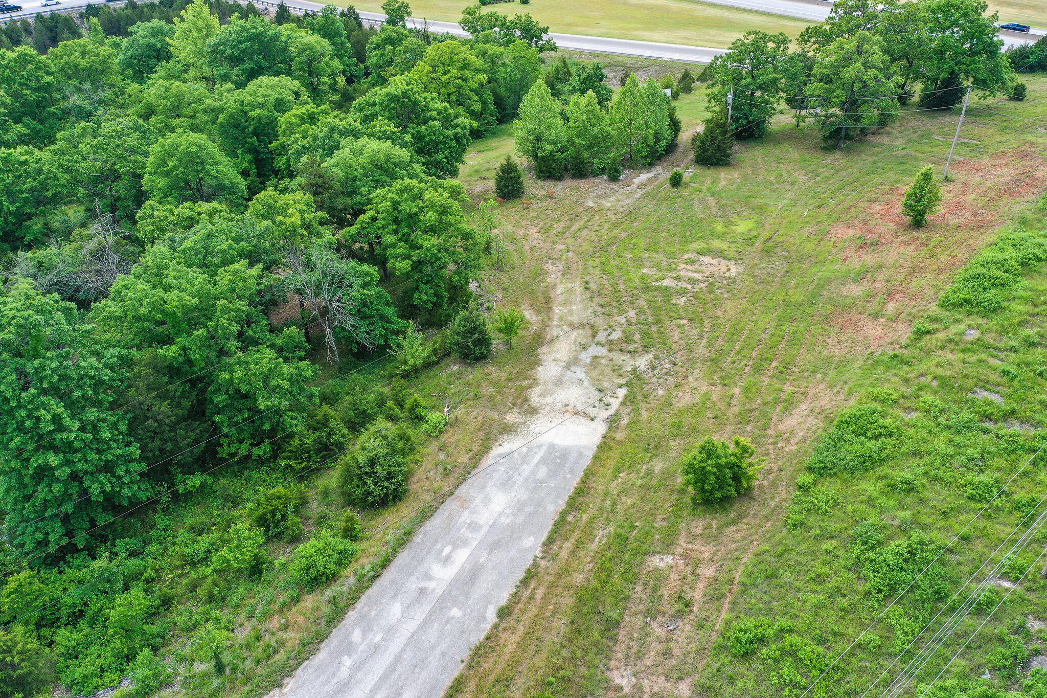Photo 10 - Land for sale – 285  Bee Creek Road  Branson, MO