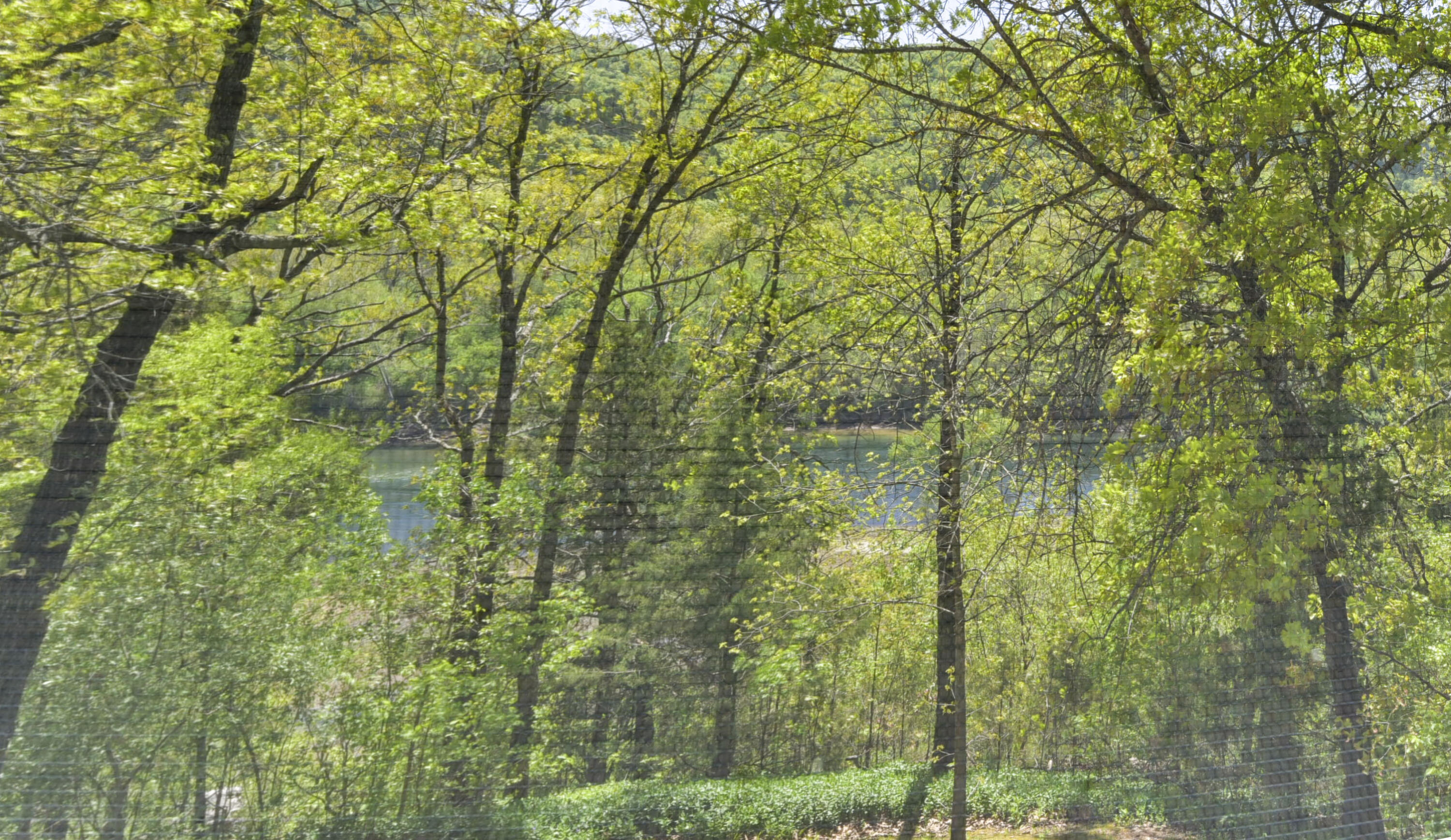 Photo 23 - Residential for sale – 150  The Bluffs   Branson, MO