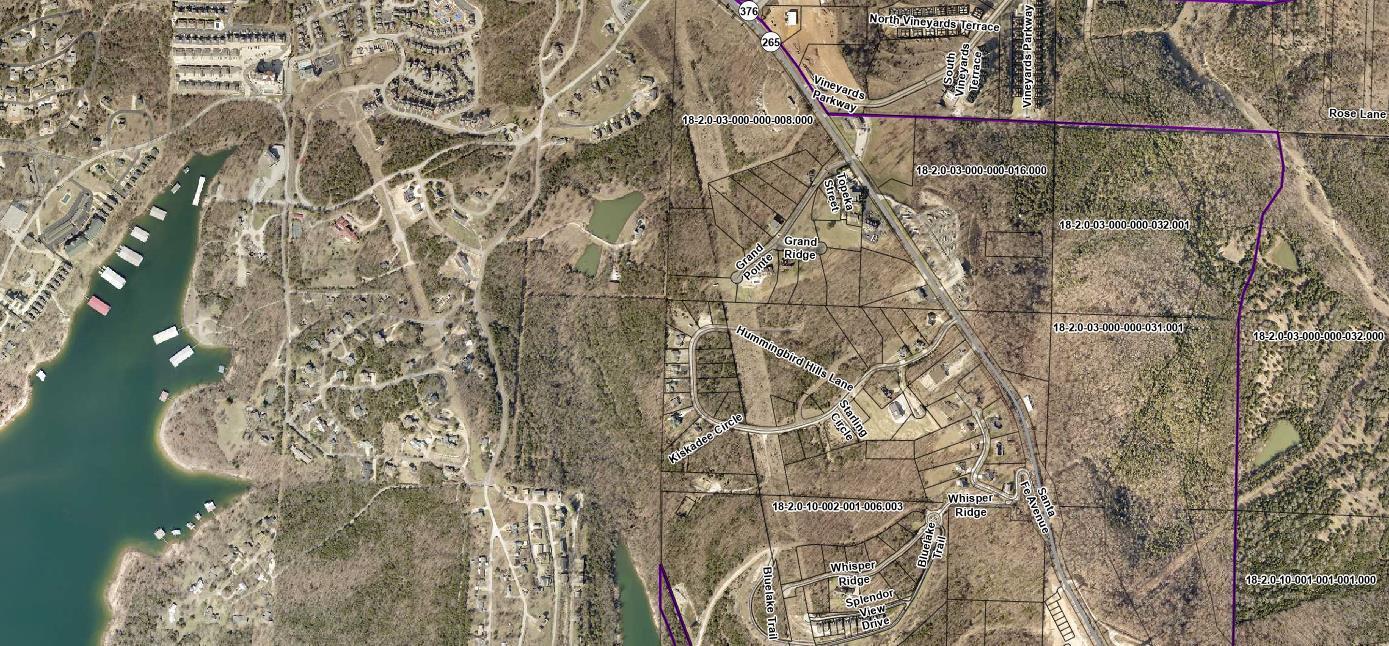Photo 2 - Land for sale – Lot 7  Grand Pointe   Branson, MO
