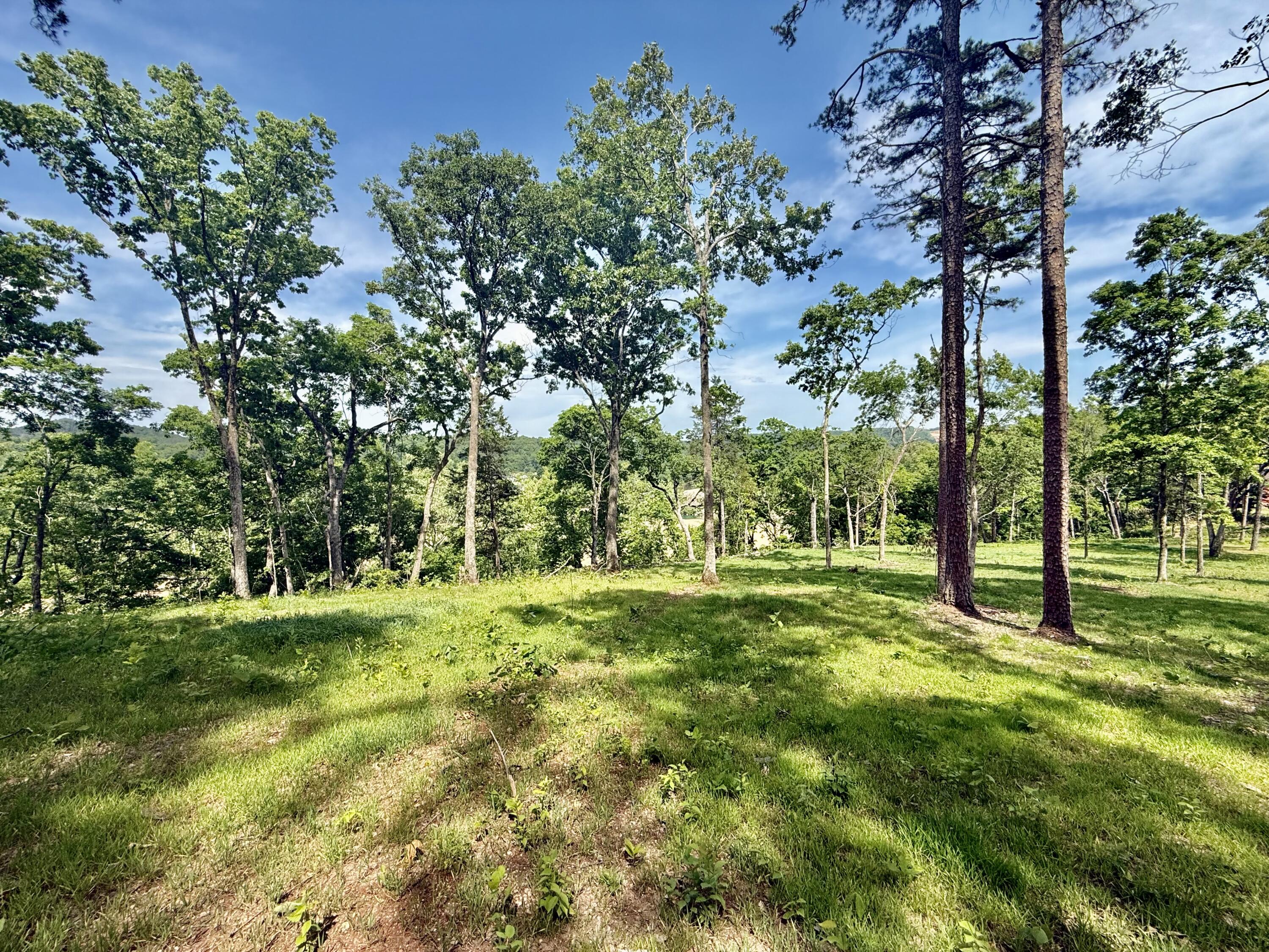 Photo 14 - Land for sale – Tract 9  Circle B Road  Eminence, MO