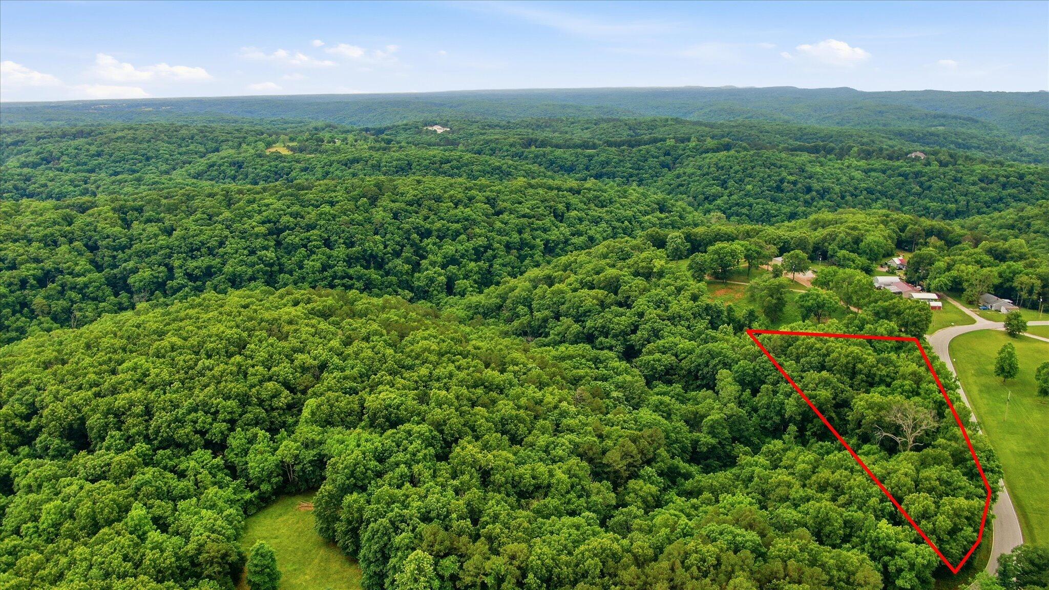 Photo 2 - Land for sale – 000  Cron Road  Lampe, MO