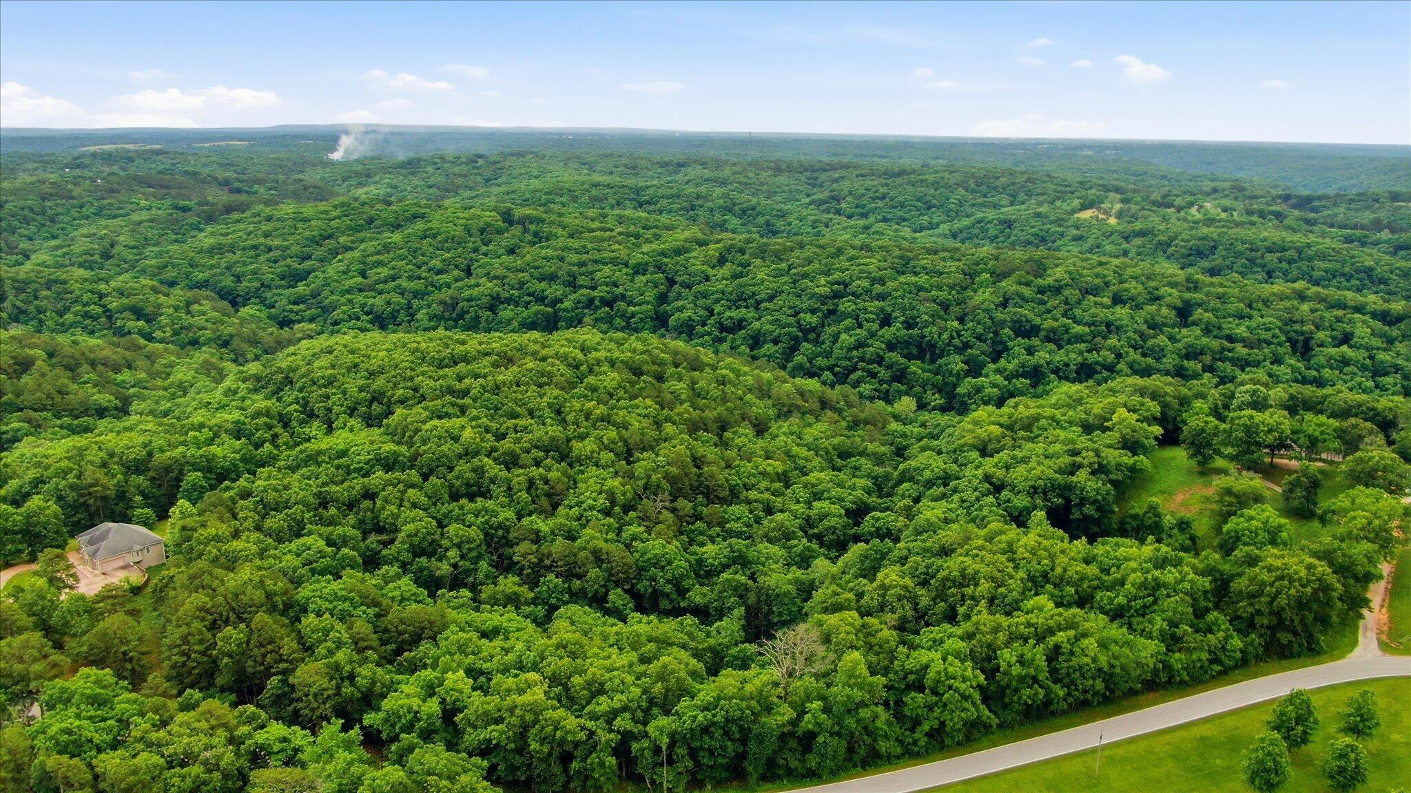 Photo 4 - Land for sale – 000  Cron Road  Lampe, MO