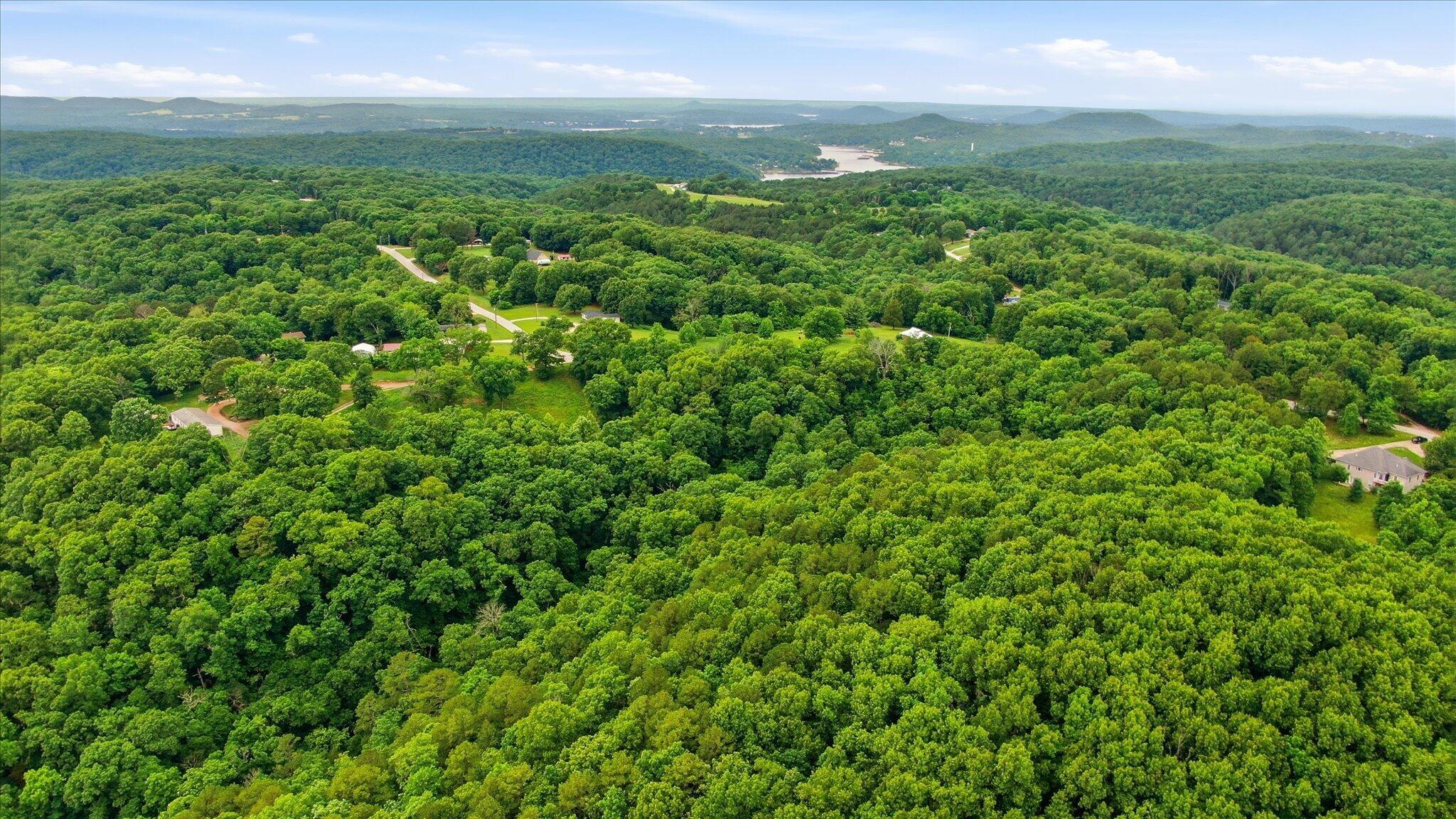 Photo 7 - Land for sale – 000  Cron Road  Lampe, MO