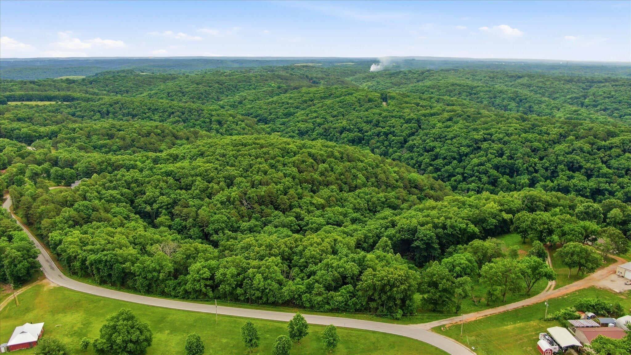 Photo 5 - Land for sale – 000  Cron Road  Lampe, MO