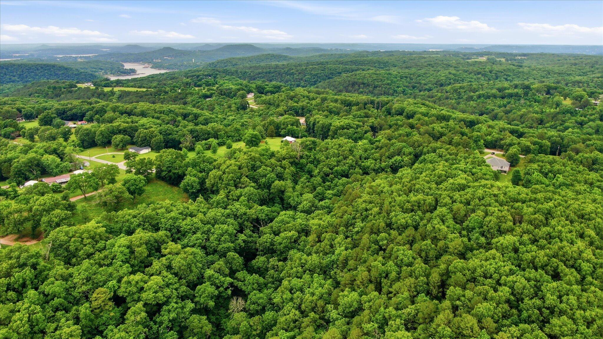 Photo 6 - Land for sale – 000  Cron Road  Lampe, MO