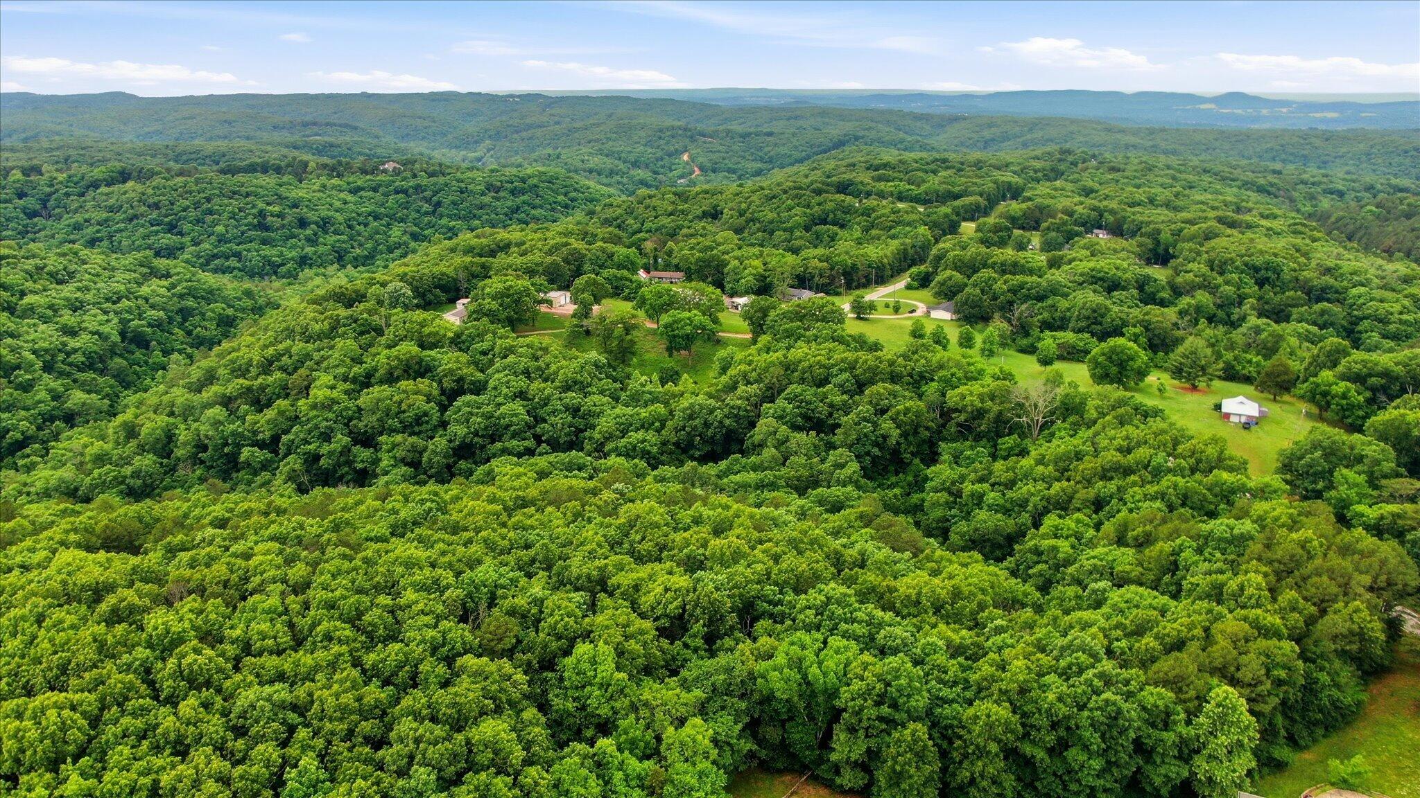 Photo 8 - Land for sale – 000  Cron Road  Lampe, MO