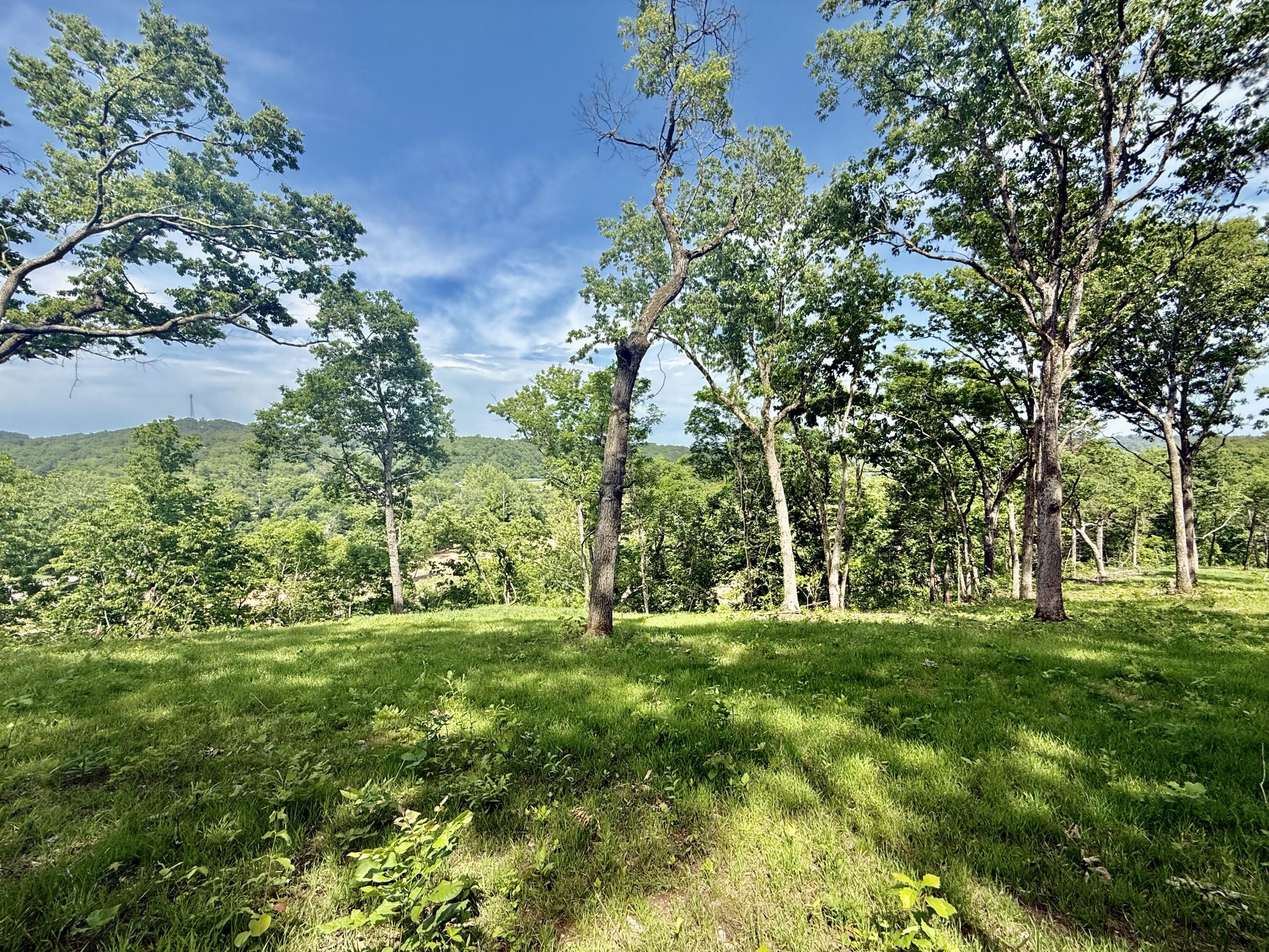 Photo 17 - Land for sale – Tract 8  Circle B Road  Eminence, MO