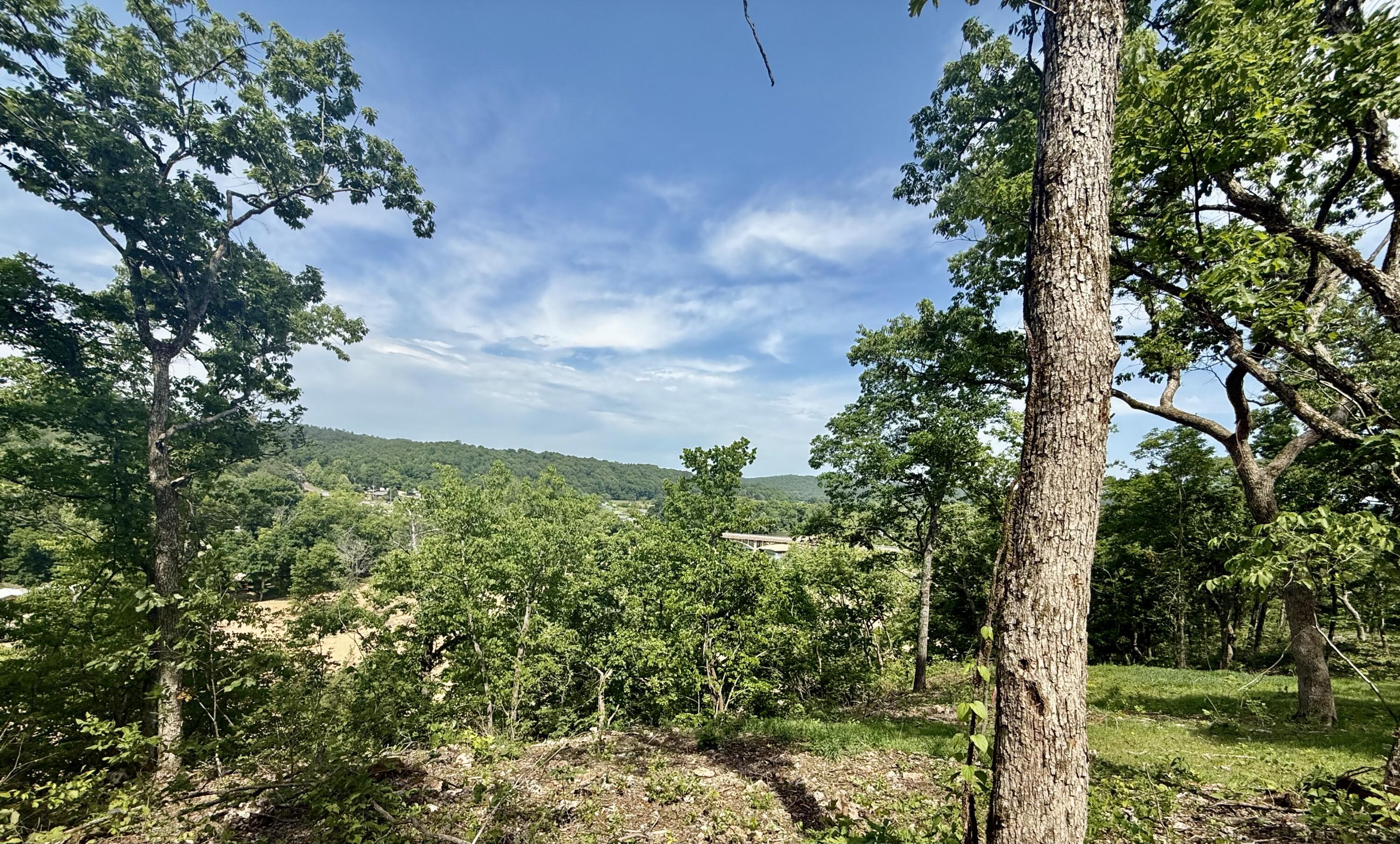 Photo 19 - Land for sale – Tract 8  Circle B Road  Eminence, MO