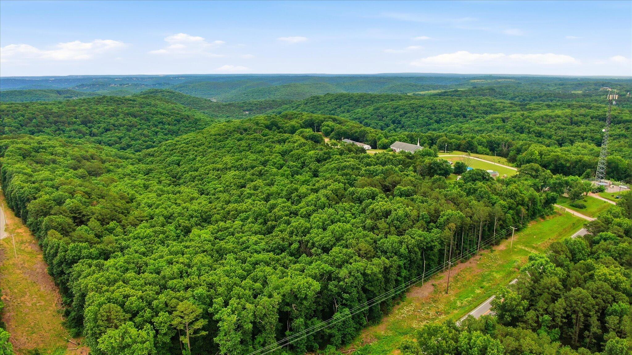 Photo 4 - Land for sale – 000  State Highway 13   Lampe, MO