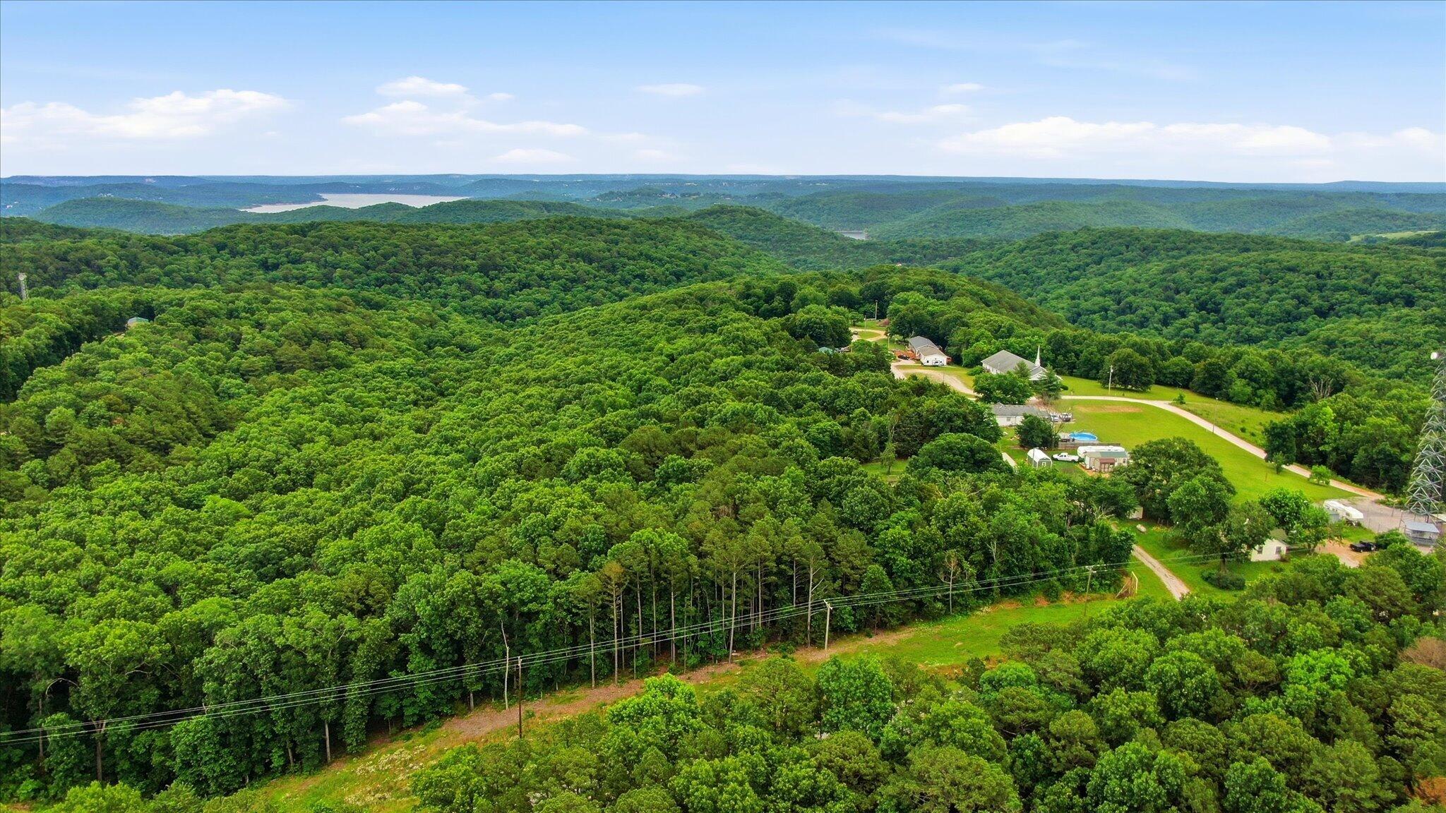 Photo 6 - Land for sale – 000  State Highway 13   Lampe, MO